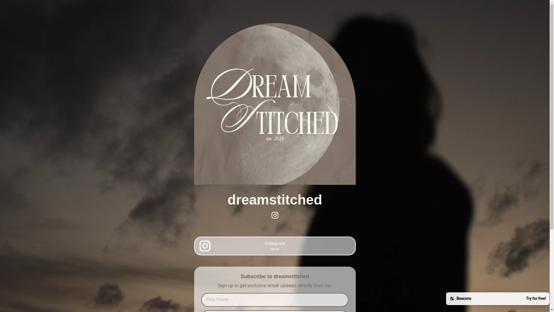 website screenshot of https://dreamstitched.store/