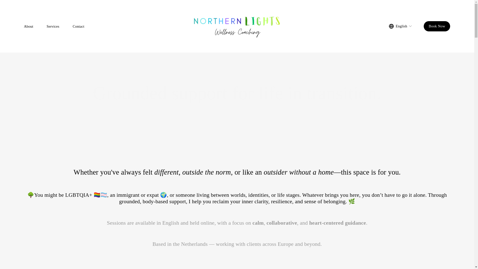 website screenshot of https://northernlightscoaching.eu/