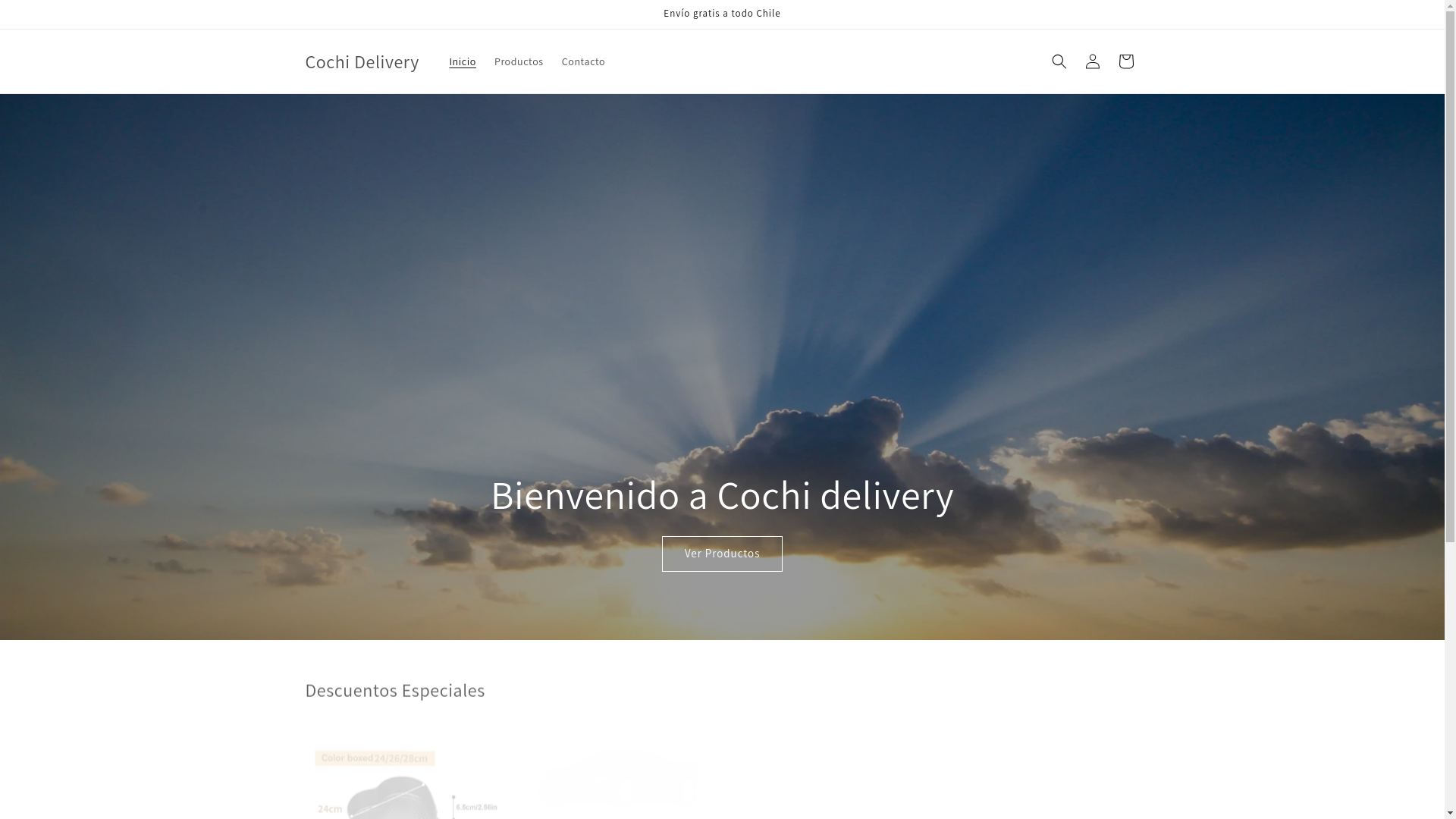 website screenshot of https://cochidelivery.com/