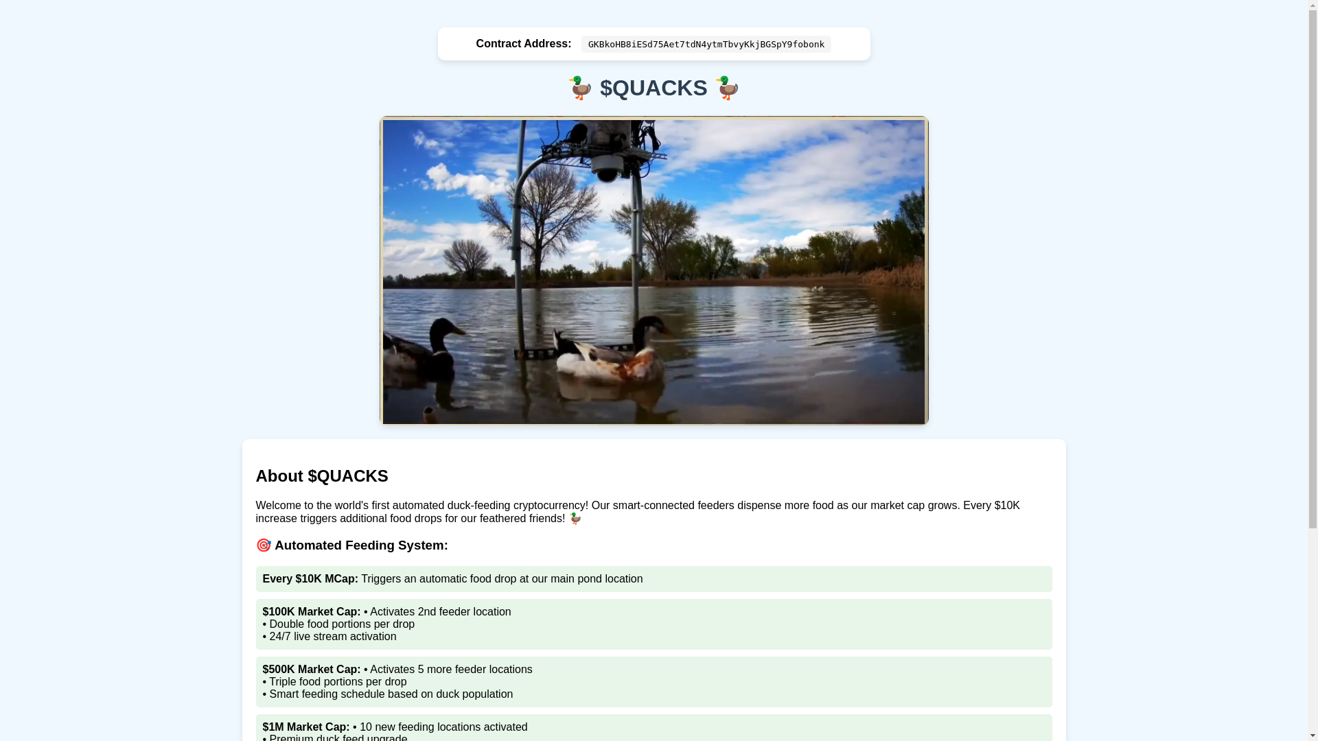 website screenshot of https://quackstream.pages.dev/