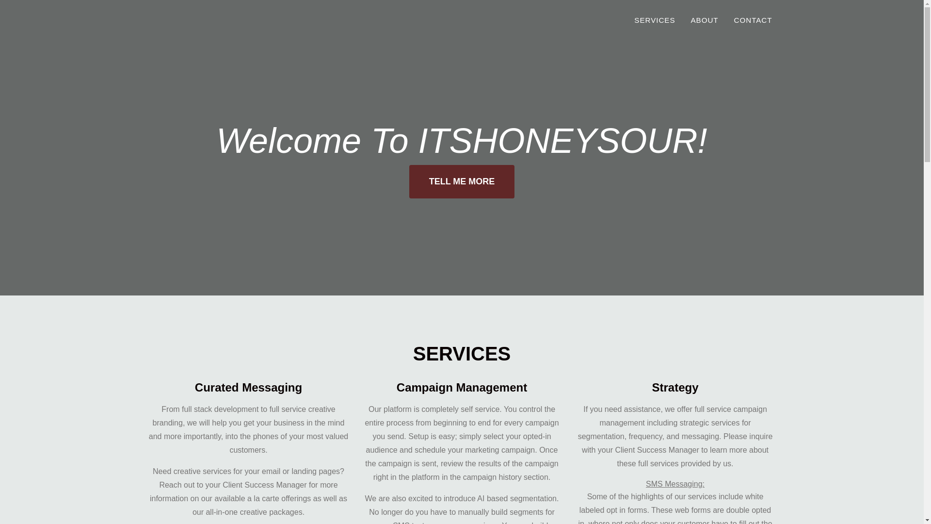 website screenshot of https://itshoneysour.com/