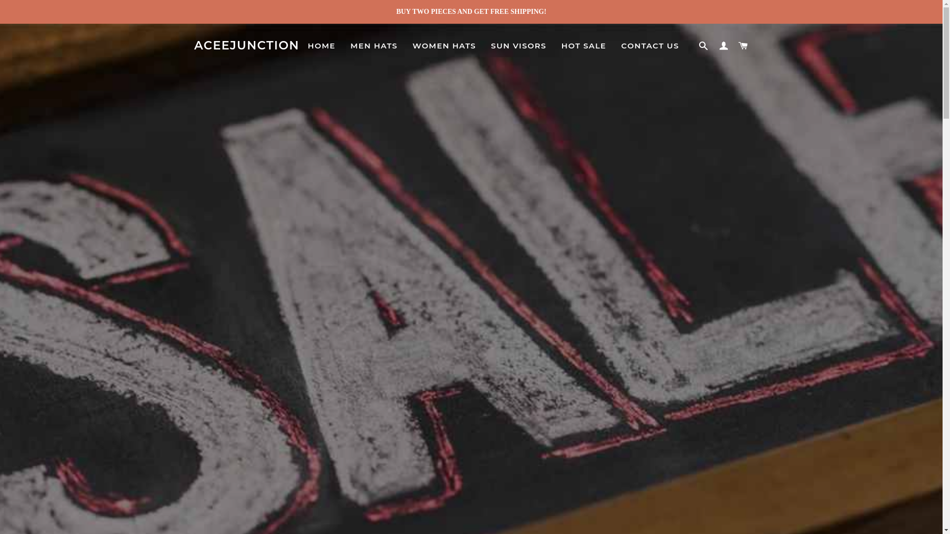 website screenshot of https://aceejunction.shop/