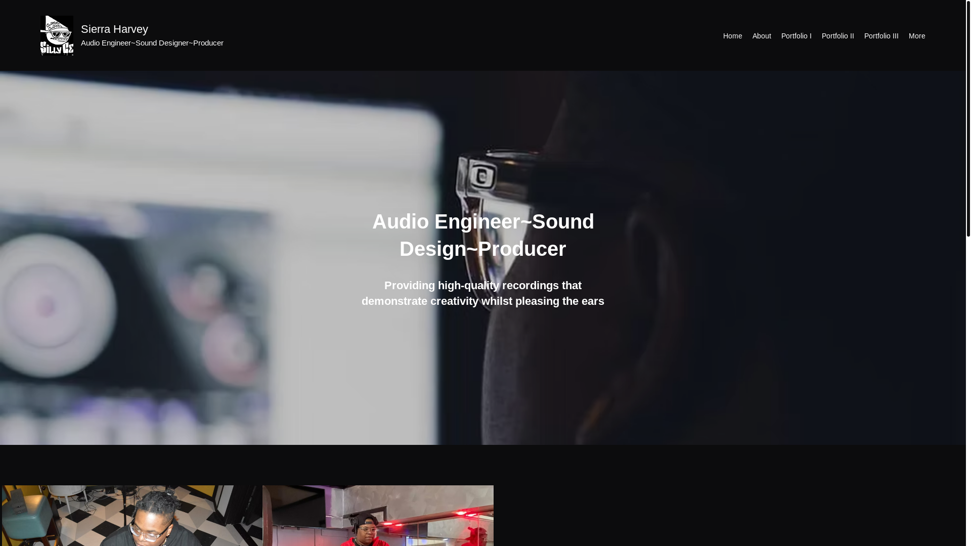website screenshot of https://sillyce317.com/