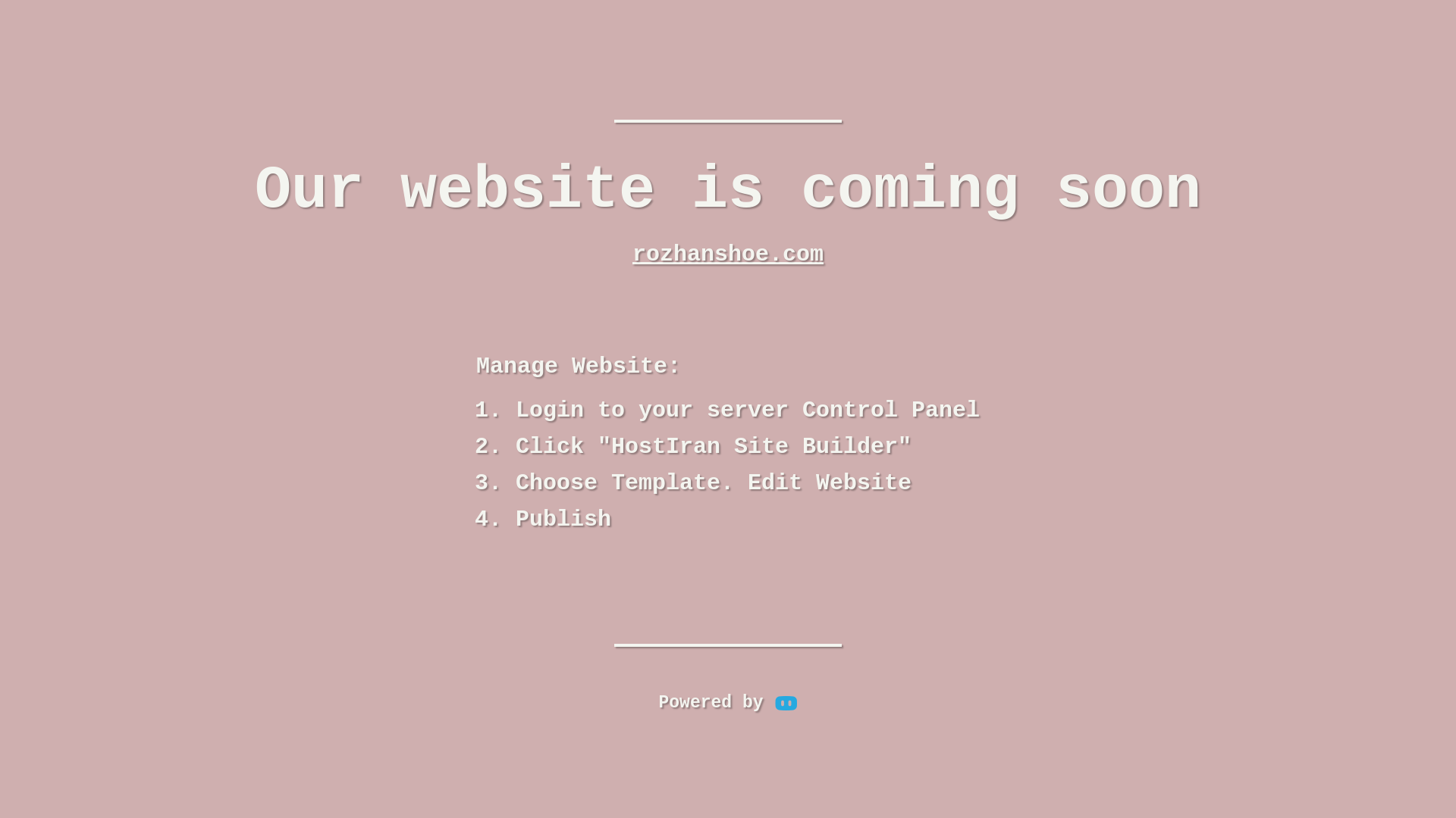website screenshot of https://rozhanshoe.com/