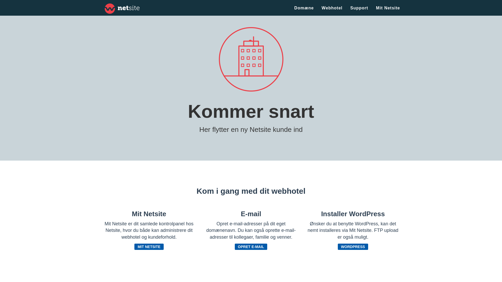 website screenshot of https://roelmer.dk/