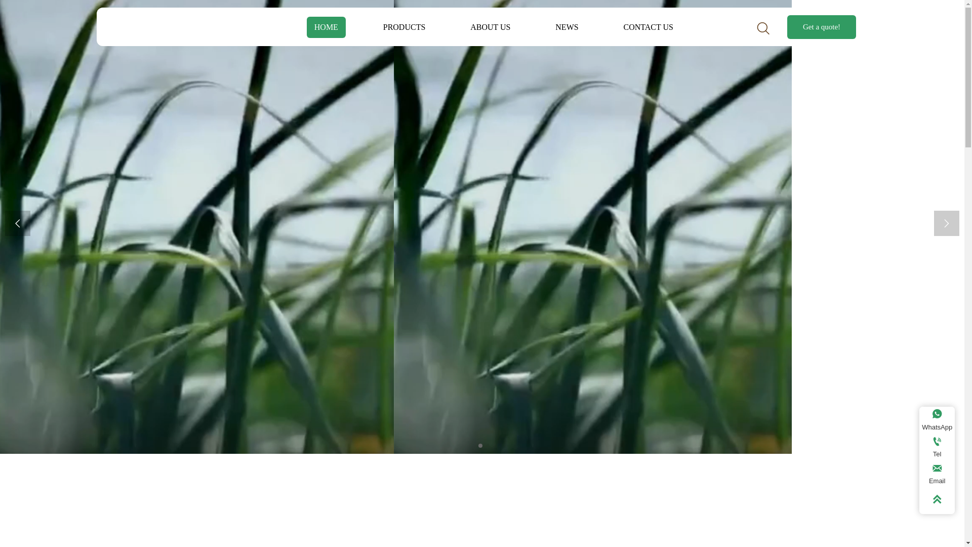 website screenshot of https://oniongingergarlic.com/
