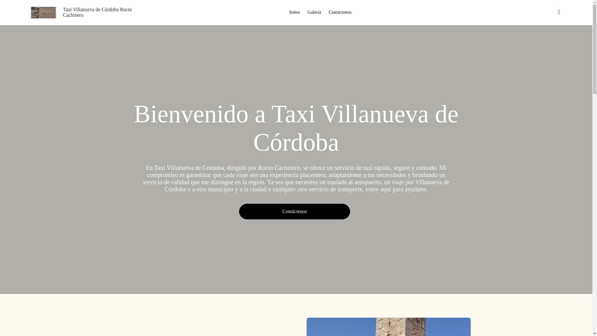 website screenshot of https://taxivillanuevadecordobarociocachinero.com/