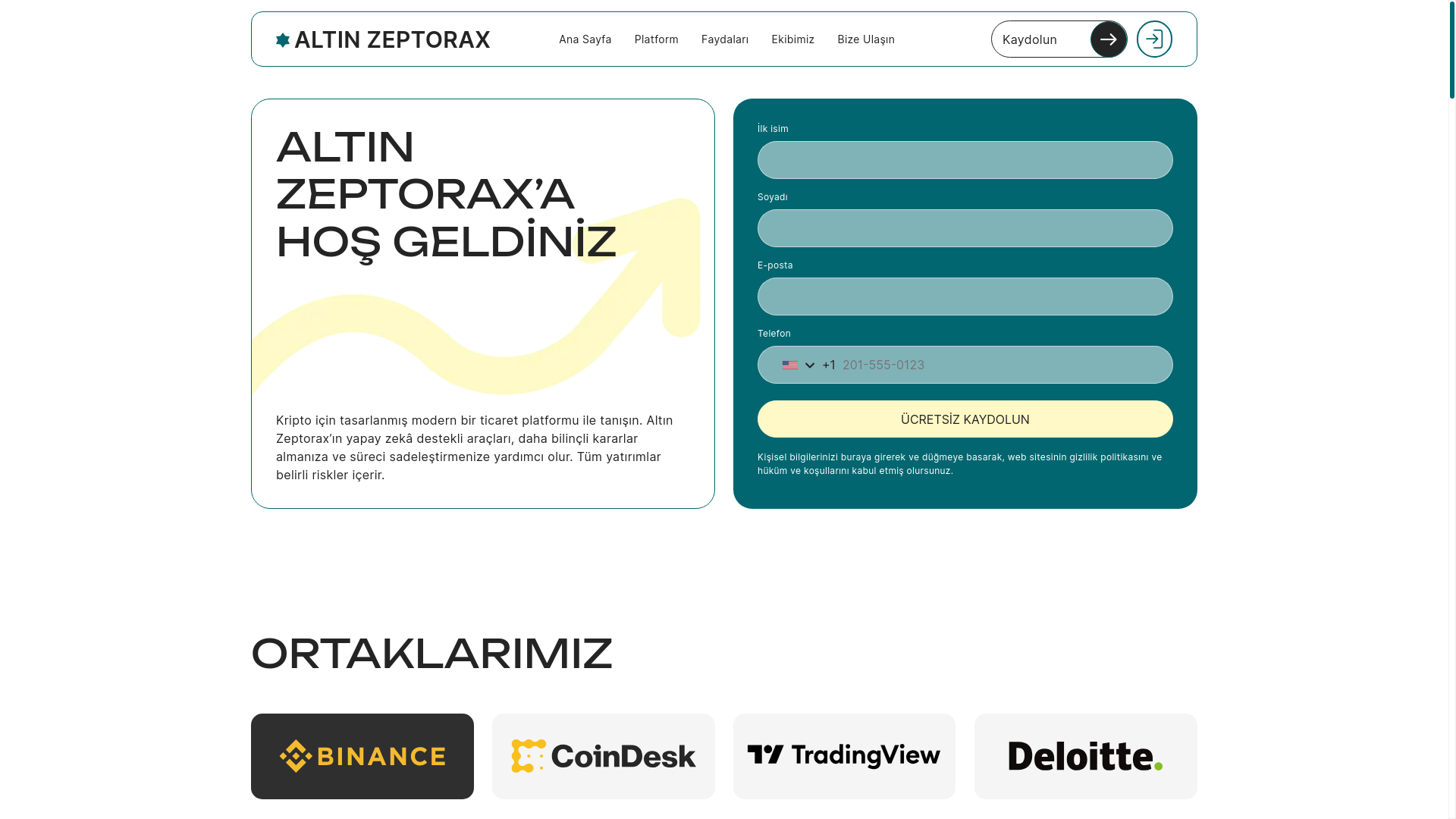 website screenshot of https://altinzeptorax.com/