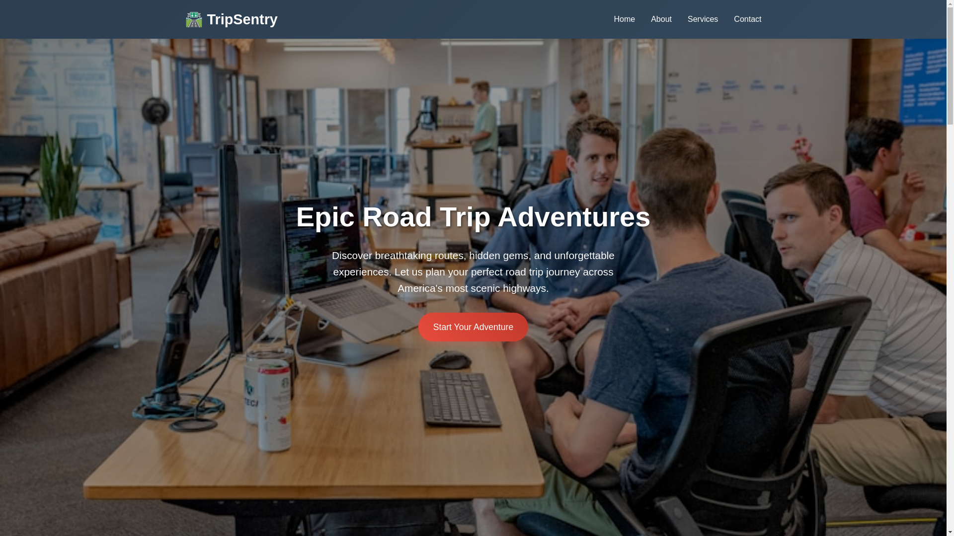 website screenshot of https://tripsentry.qpon/