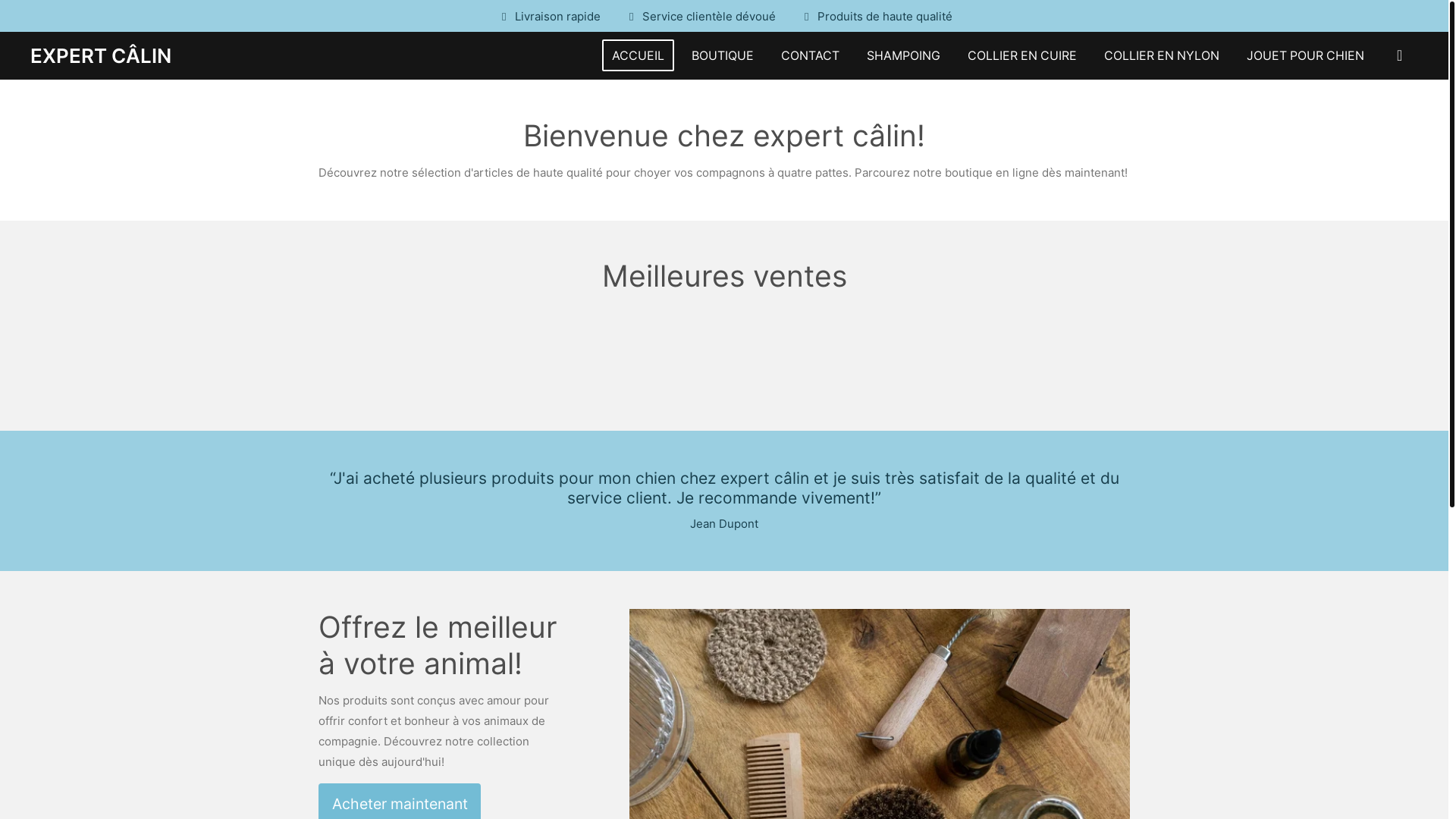 website screenshot of https://expert-calin.com/