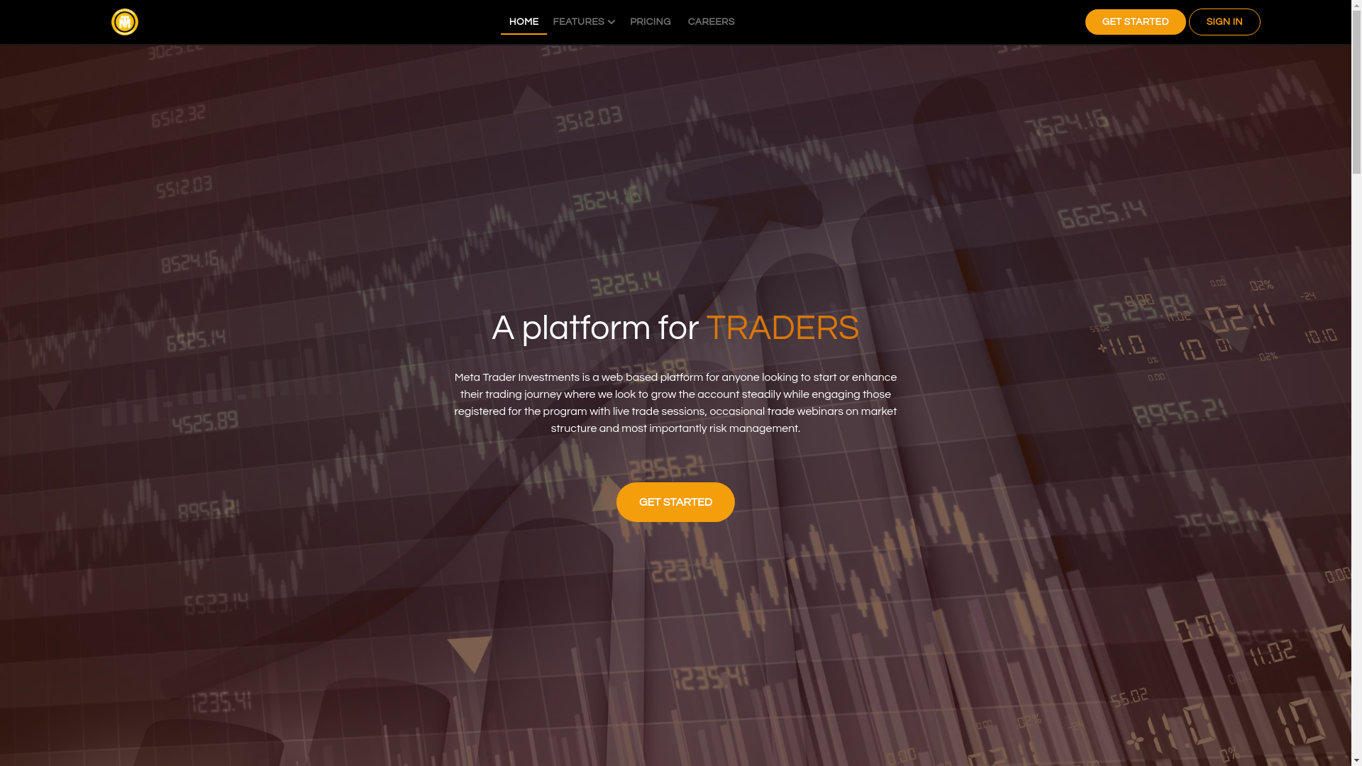 website screenshot of https://metatraderinvestments.com/