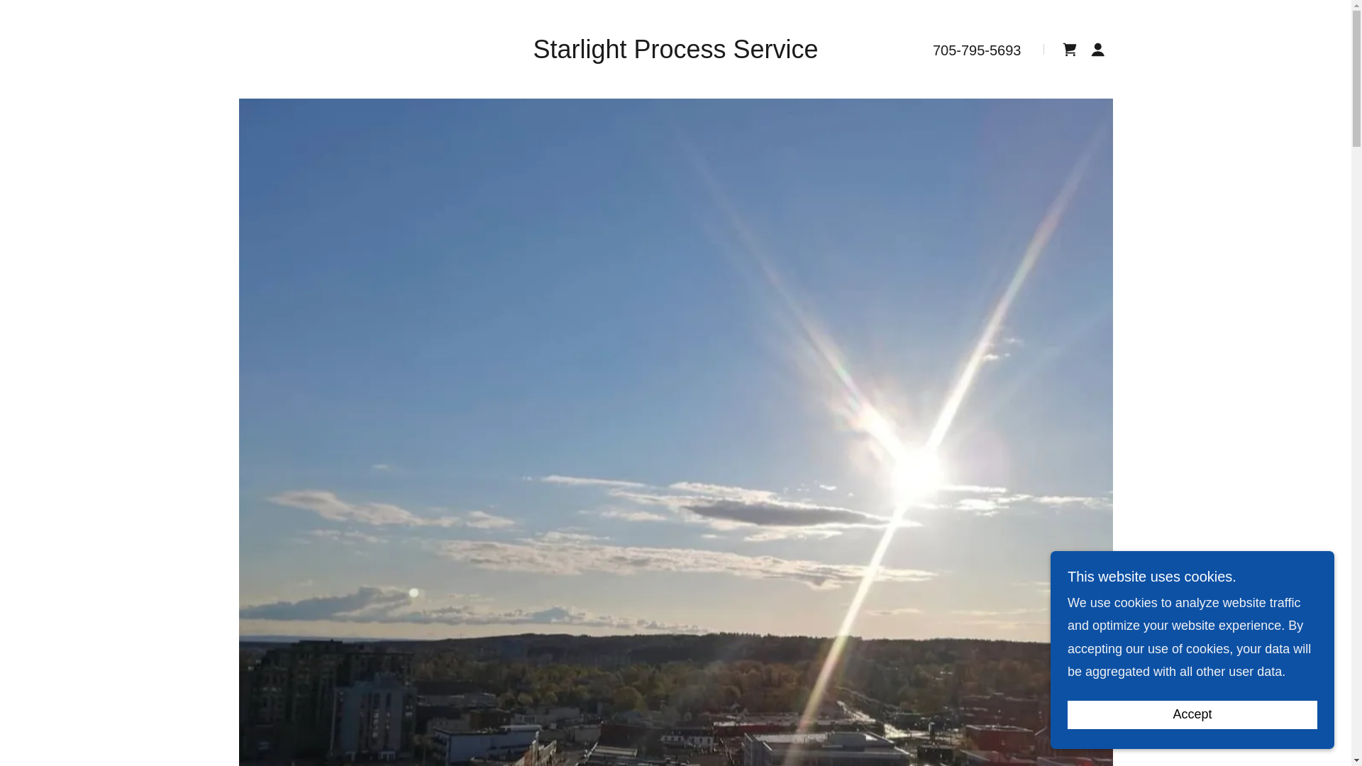 website screenshot of https://starlightprocessservice.com/