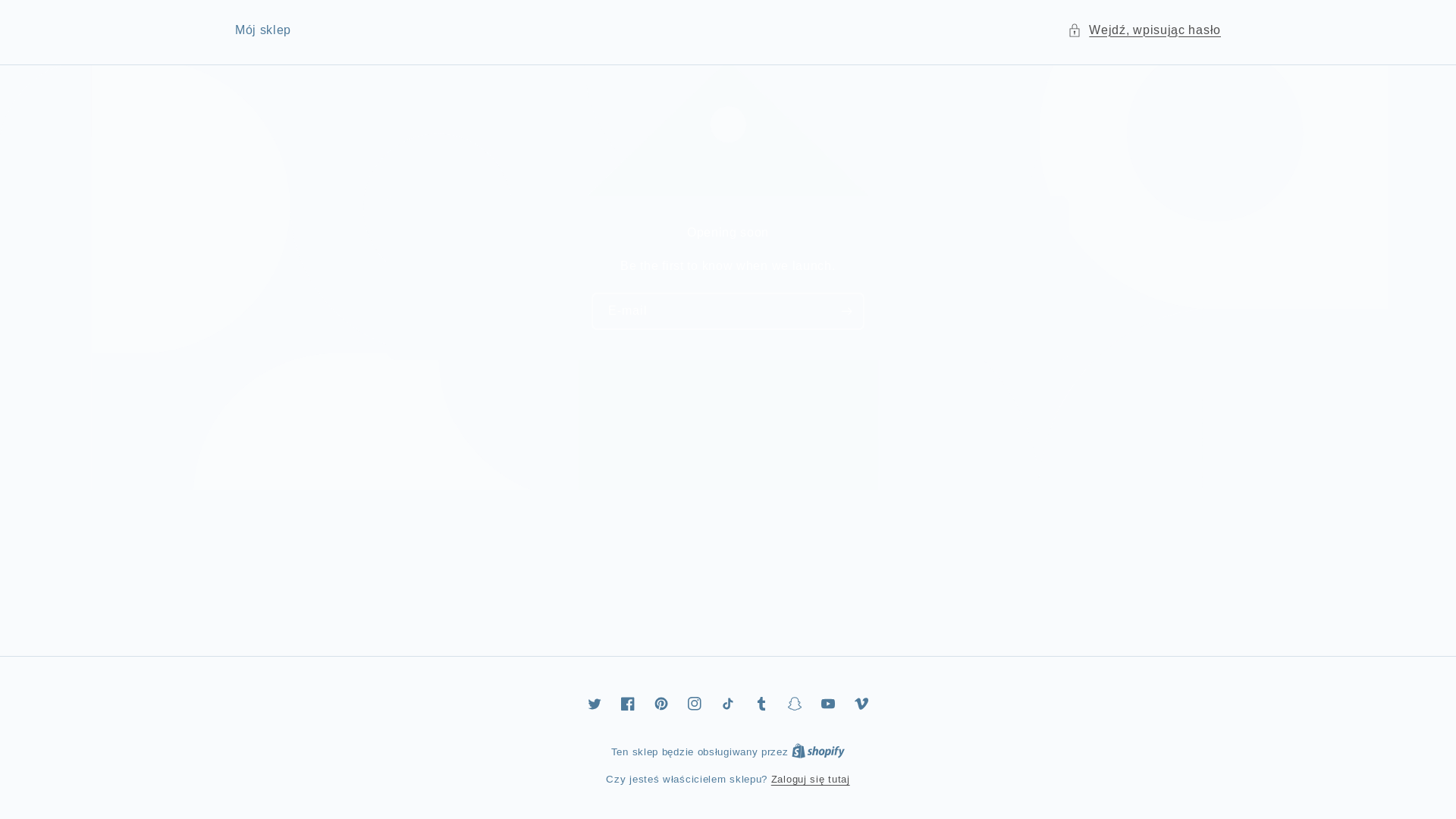 website screenshot of https://drivelight.pl/