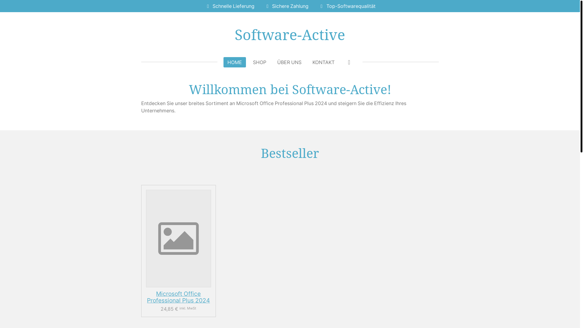website screenshot of https://software-active.de/