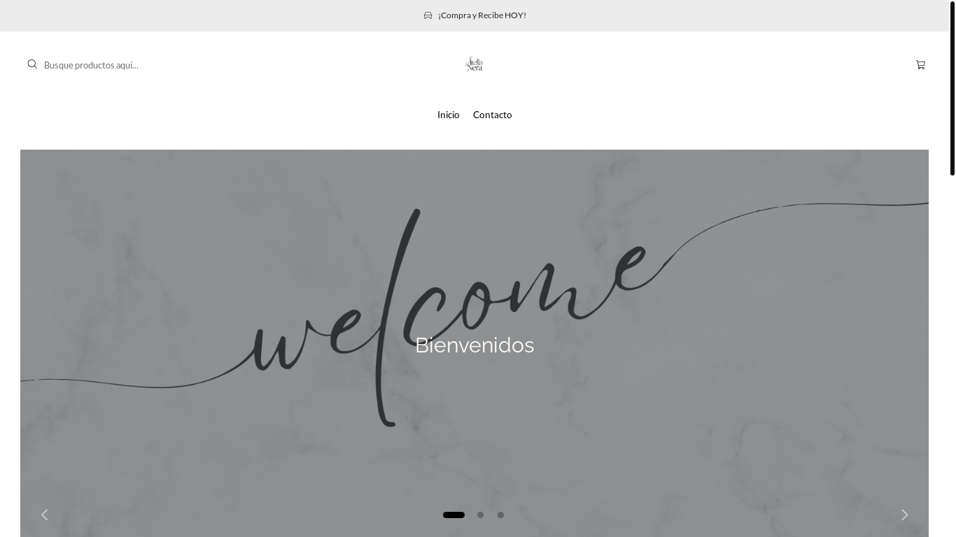 website screenshot of https://stellanera.cl/