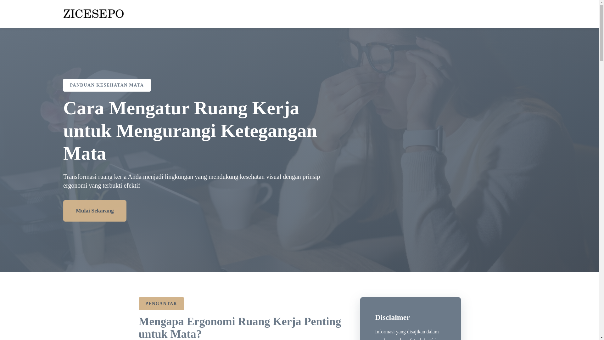 website screenshot of https://zicesepo.com/