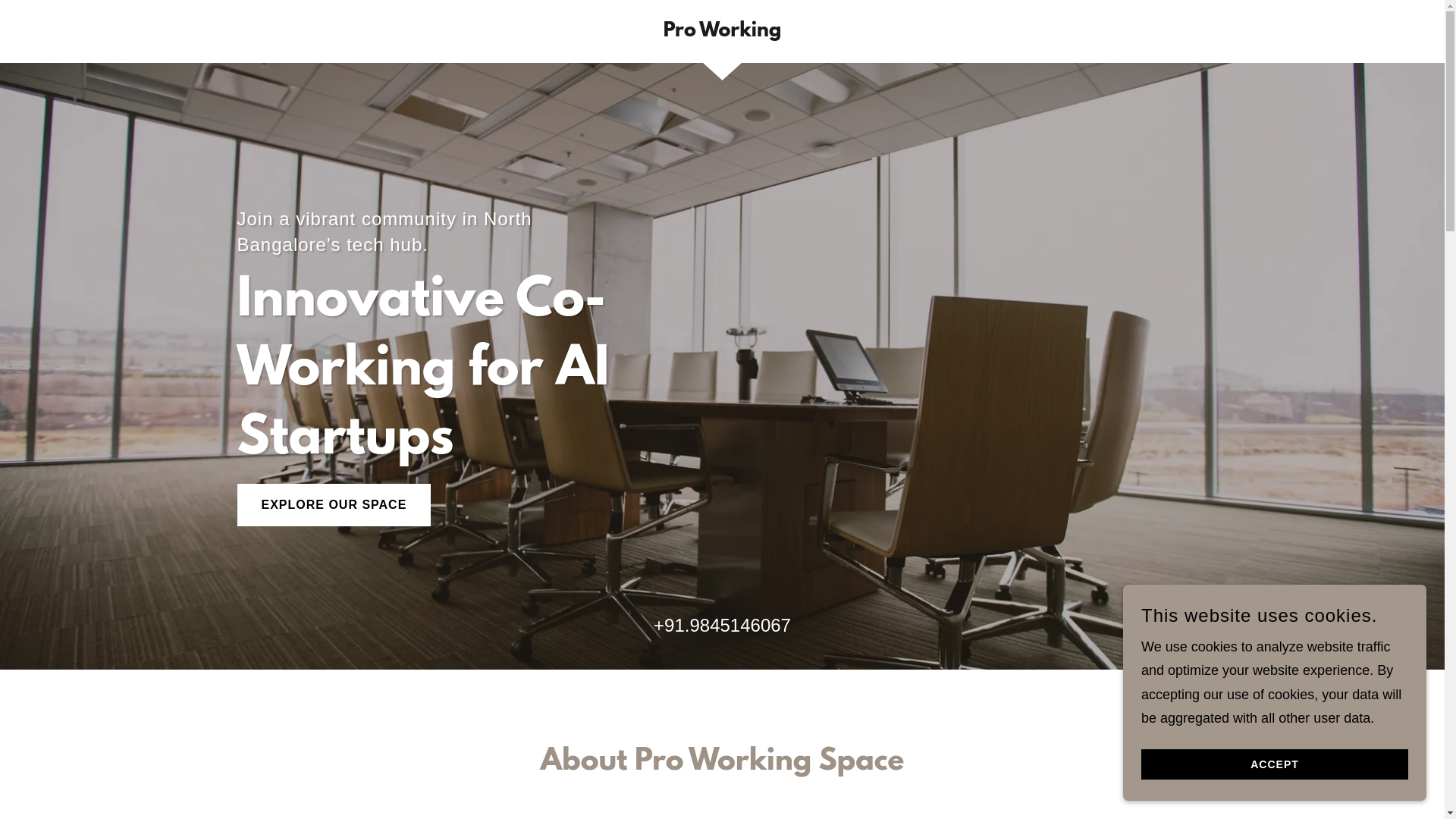 website screenshot of https://prowrking.in/