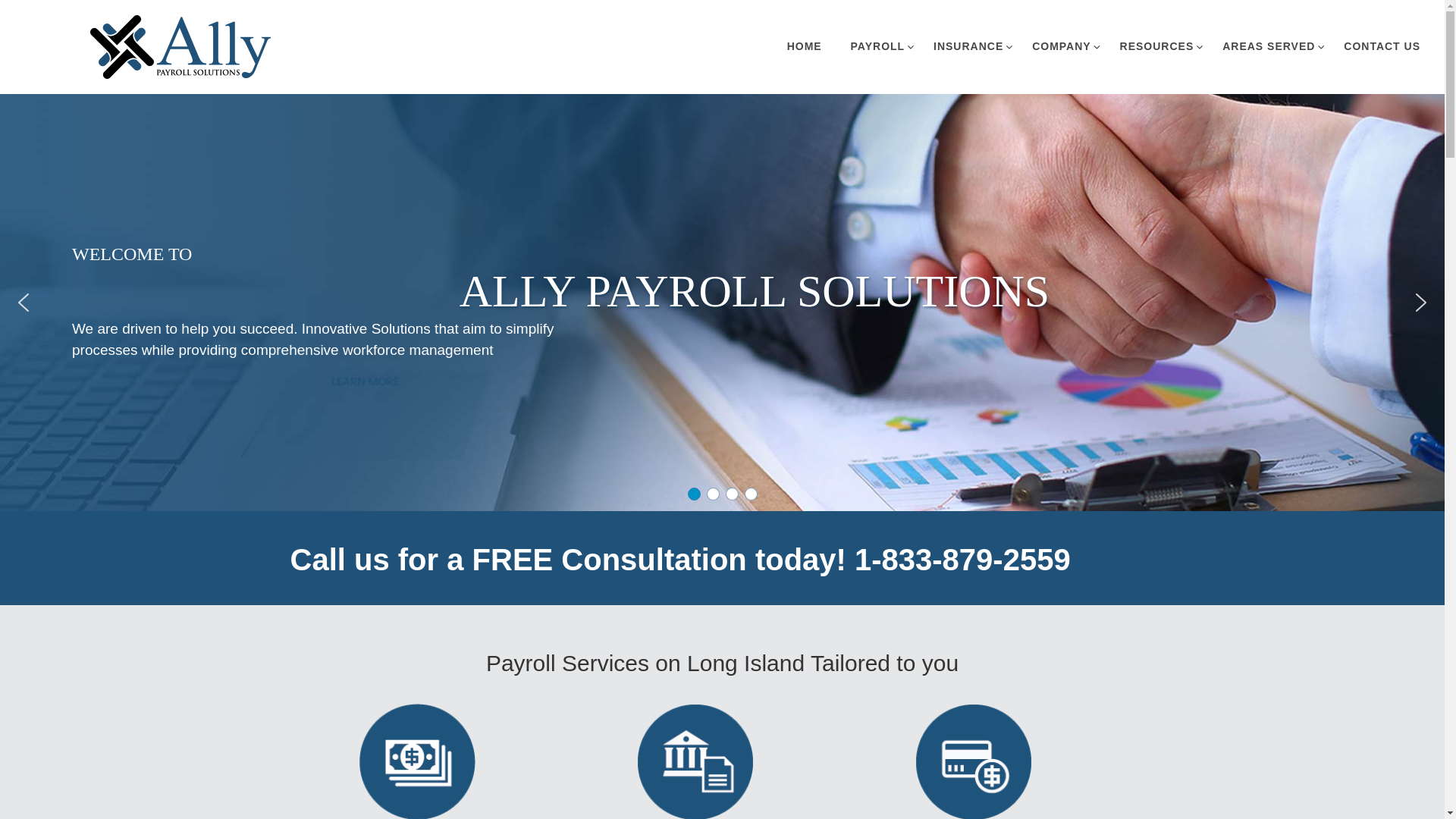 website screenshot of https://teamallypay.com/