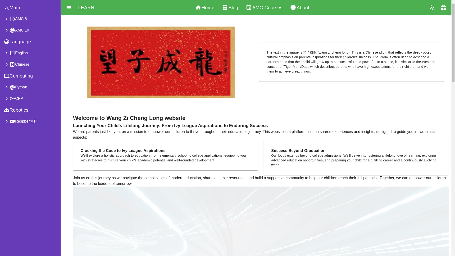 website screenshot of https://wangzichenglong.org/