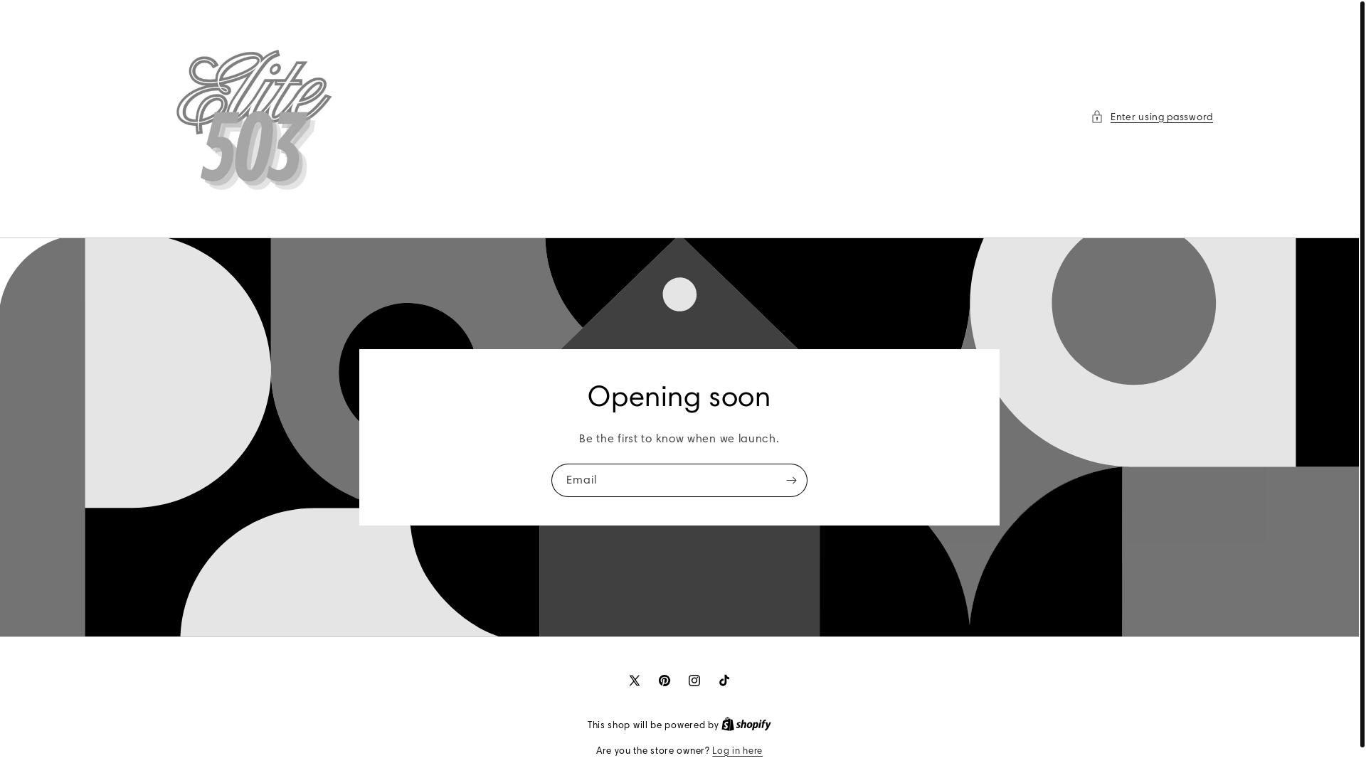 website screenshot of https://elite503.com/
