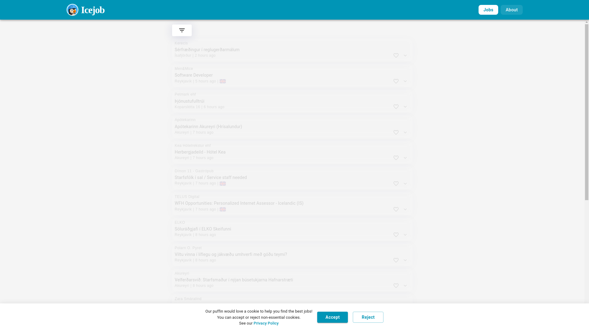 website screenshot of https://icejob.is/