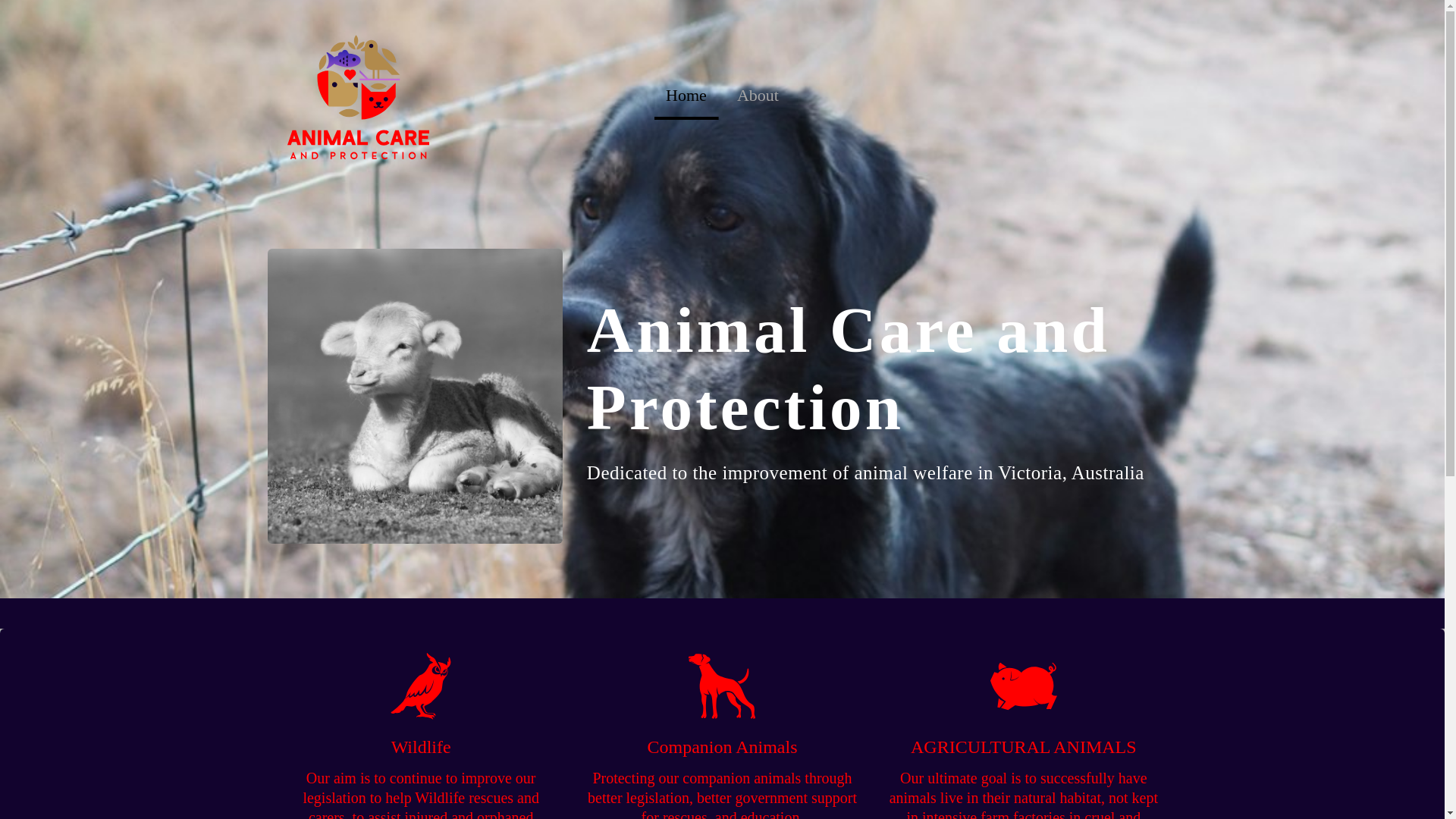 website screenshot of https://animalcareandprotection.com/