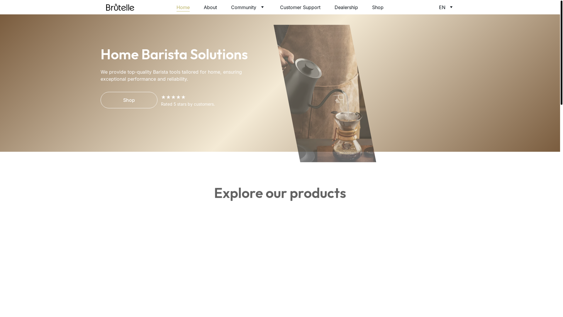 website screenshot of https://brutelle.com/