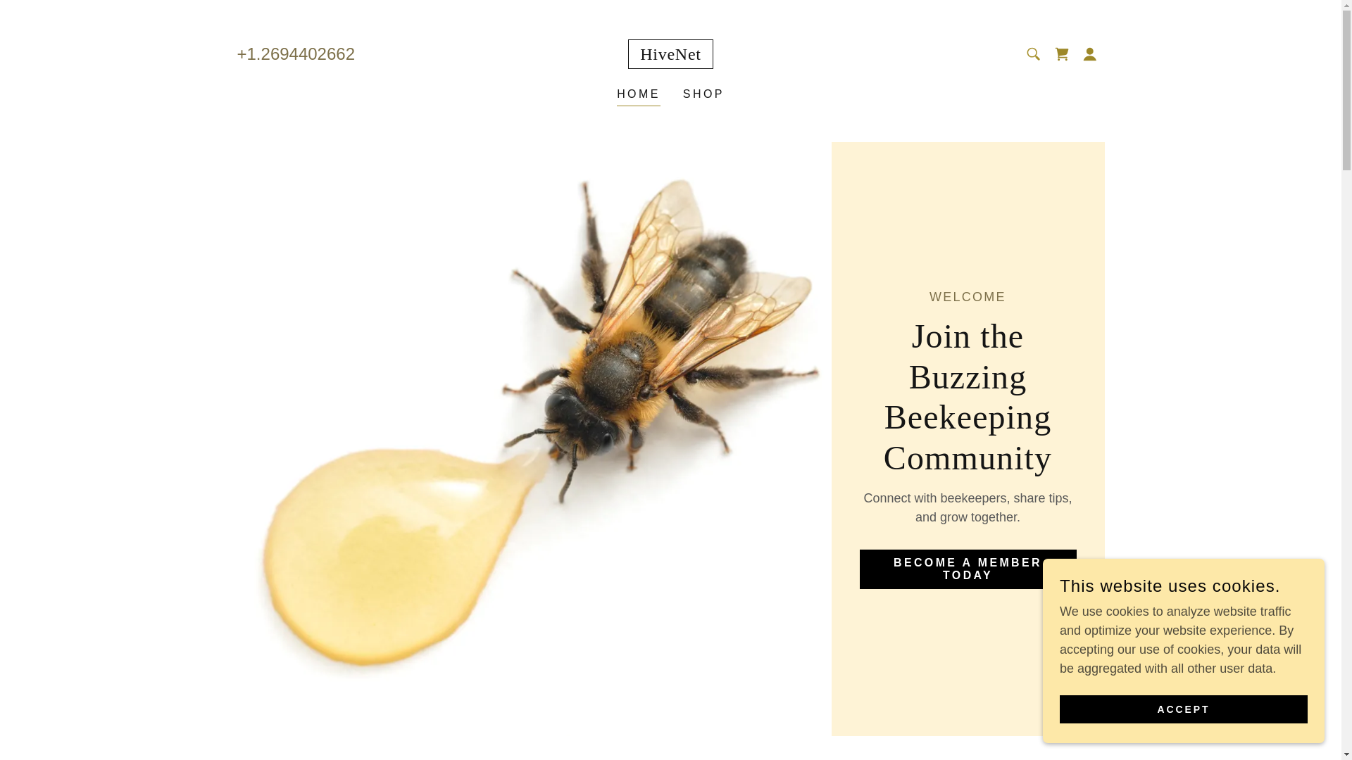 website screenshot of https://hivenetcollective.com/