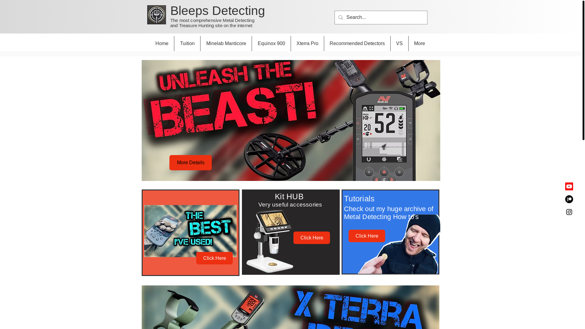 website screenshot of https://bleepsdetecting.com/