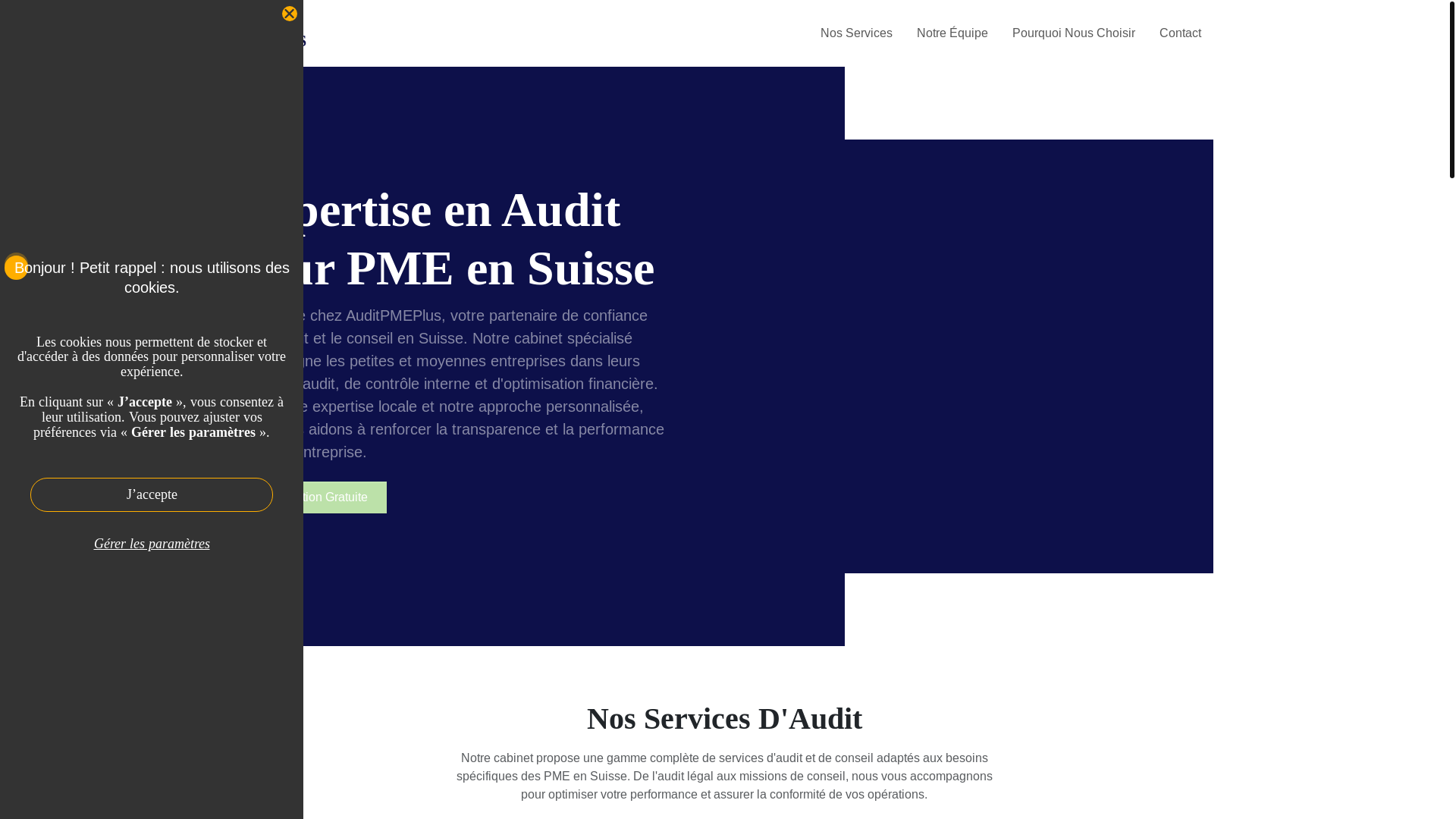 website screenshot of https://auditpmeplus.com/