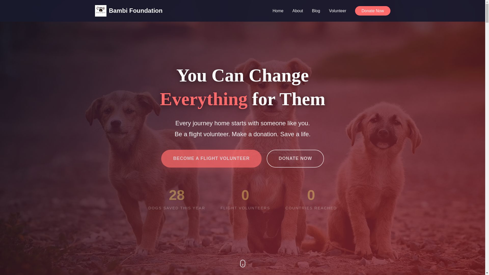 website screenshot of https://bambifoundationalbania.com/