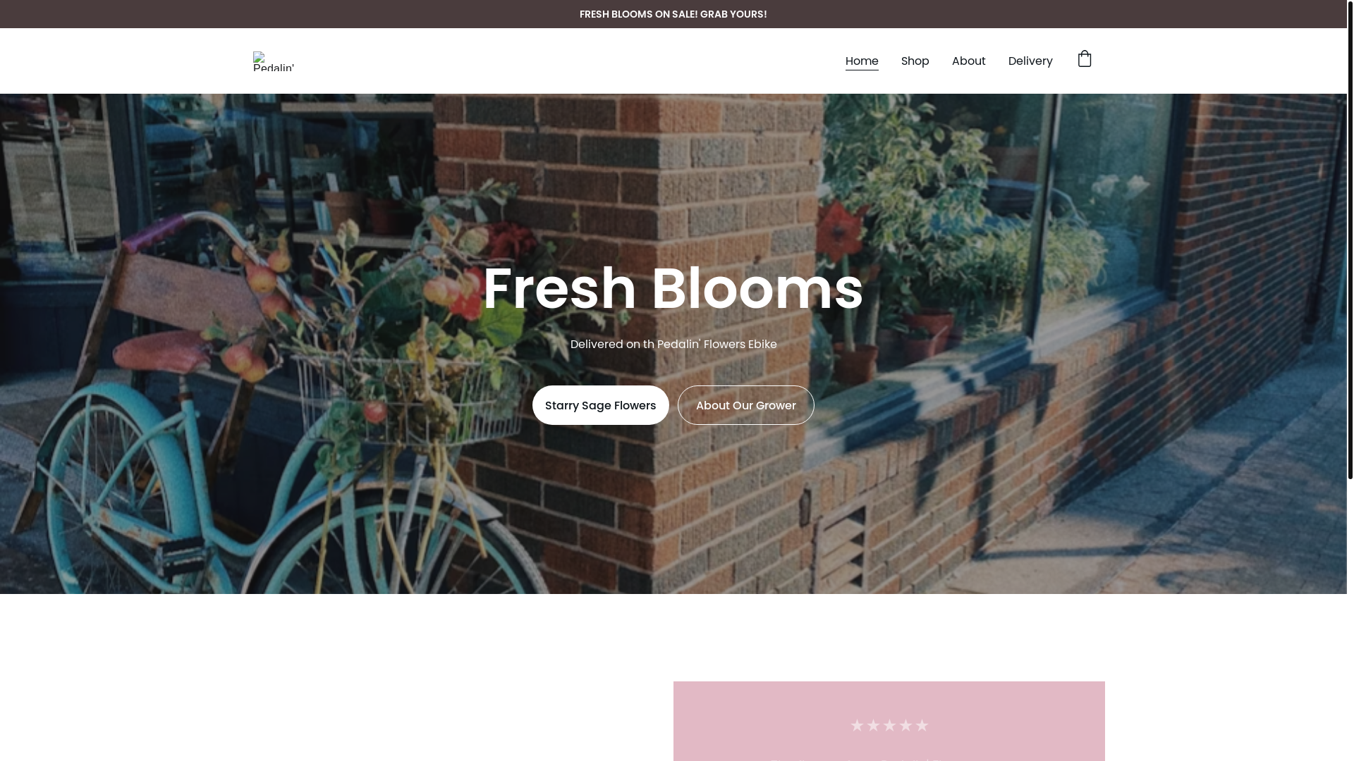 website screenshot of https://pedalinflowers.com/