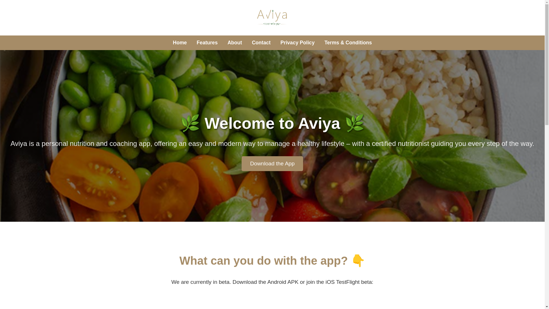 website screenshot of https://avia-admin.pages.dev/