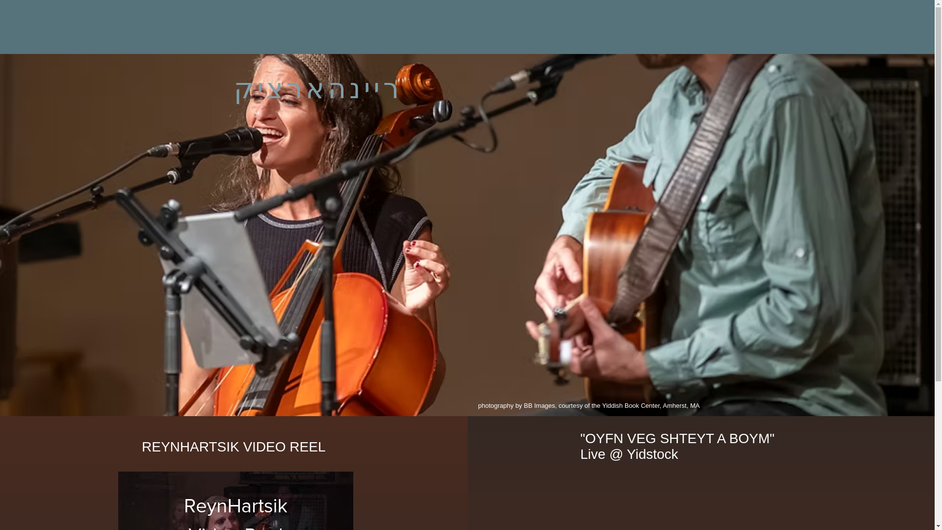 website screenshot of https://reynhartsik.com/