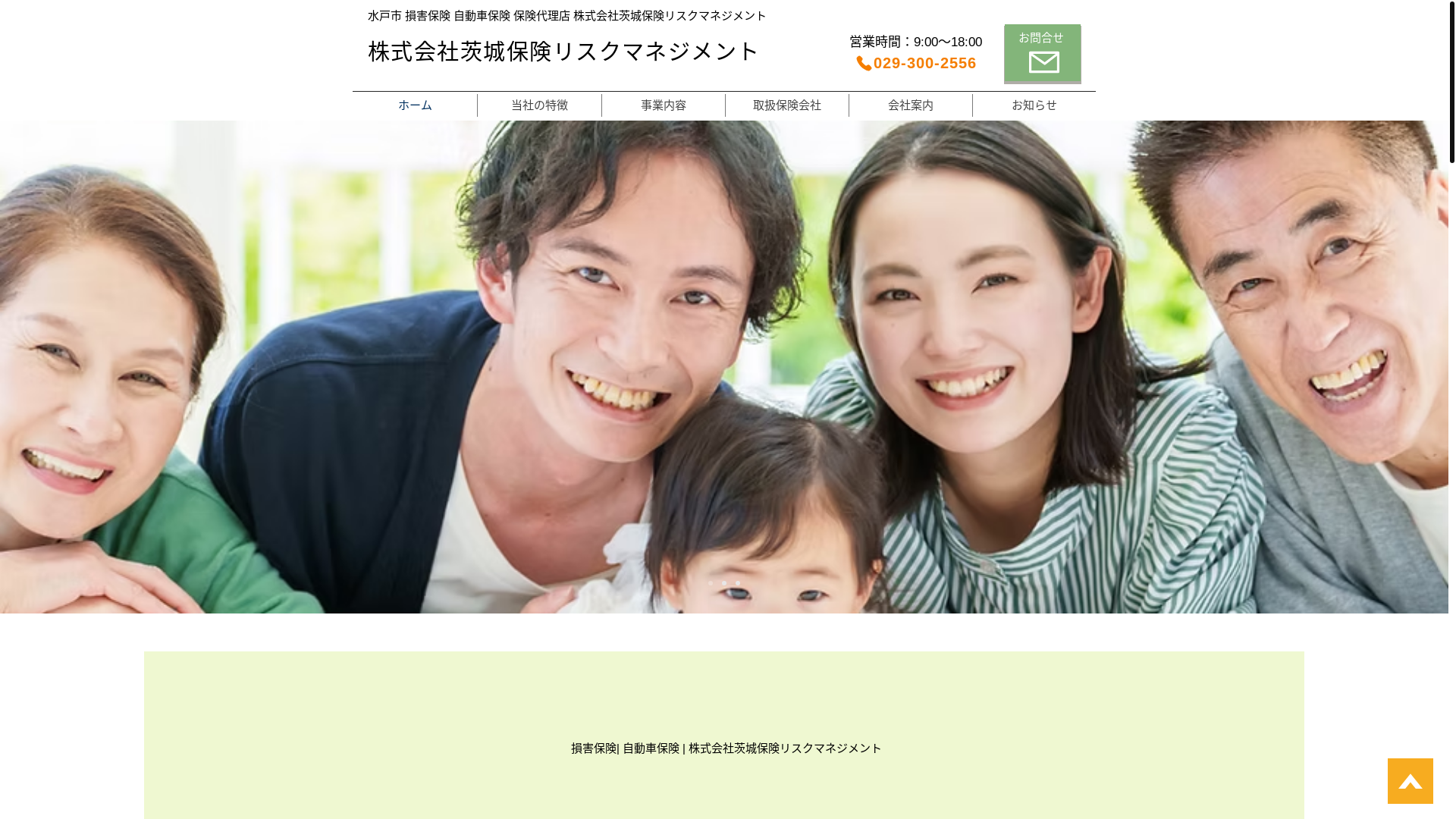 website screenshot of https://ibarakihoken.com/