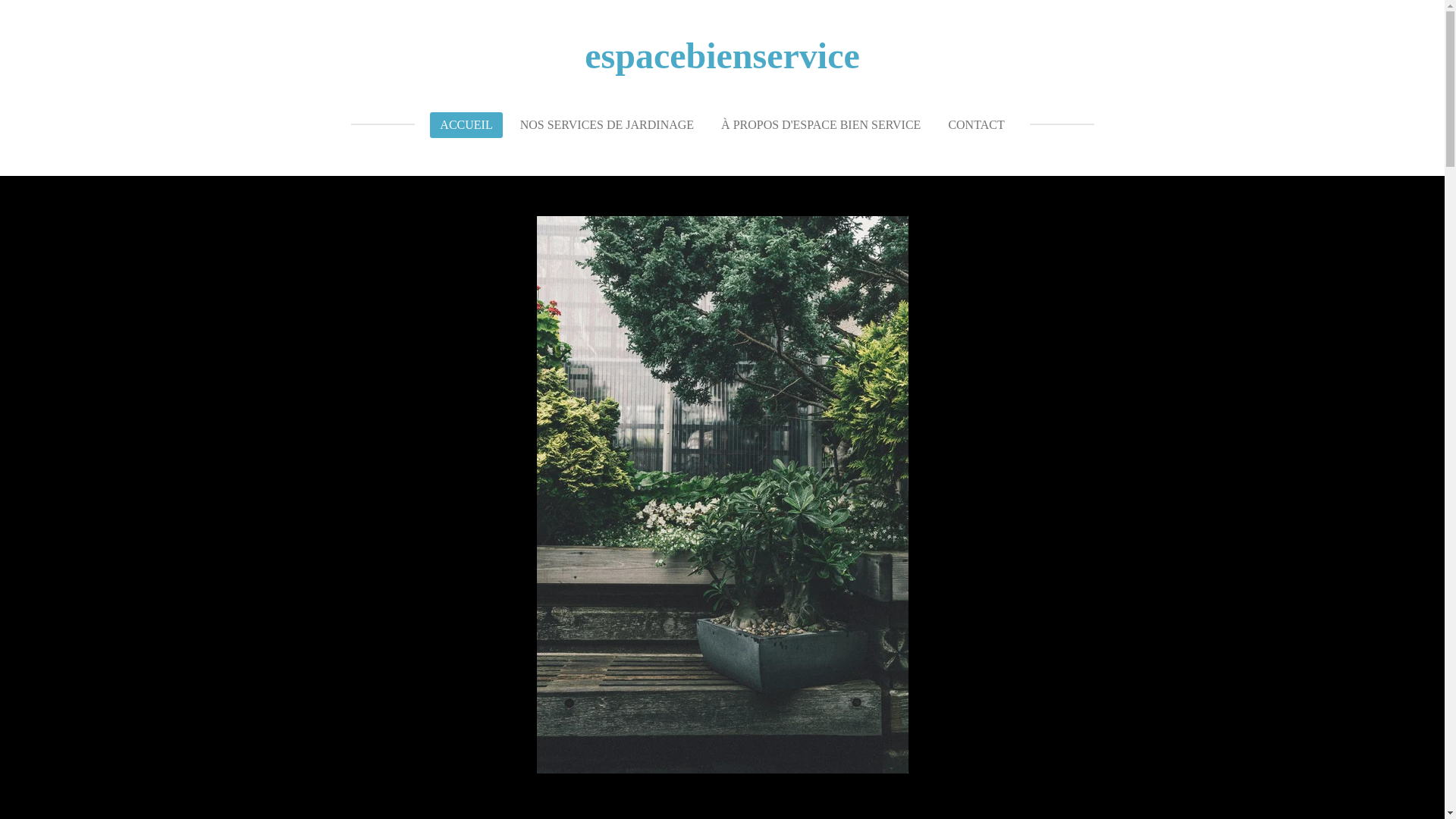 website screenshot of https://espacebienservice.net/