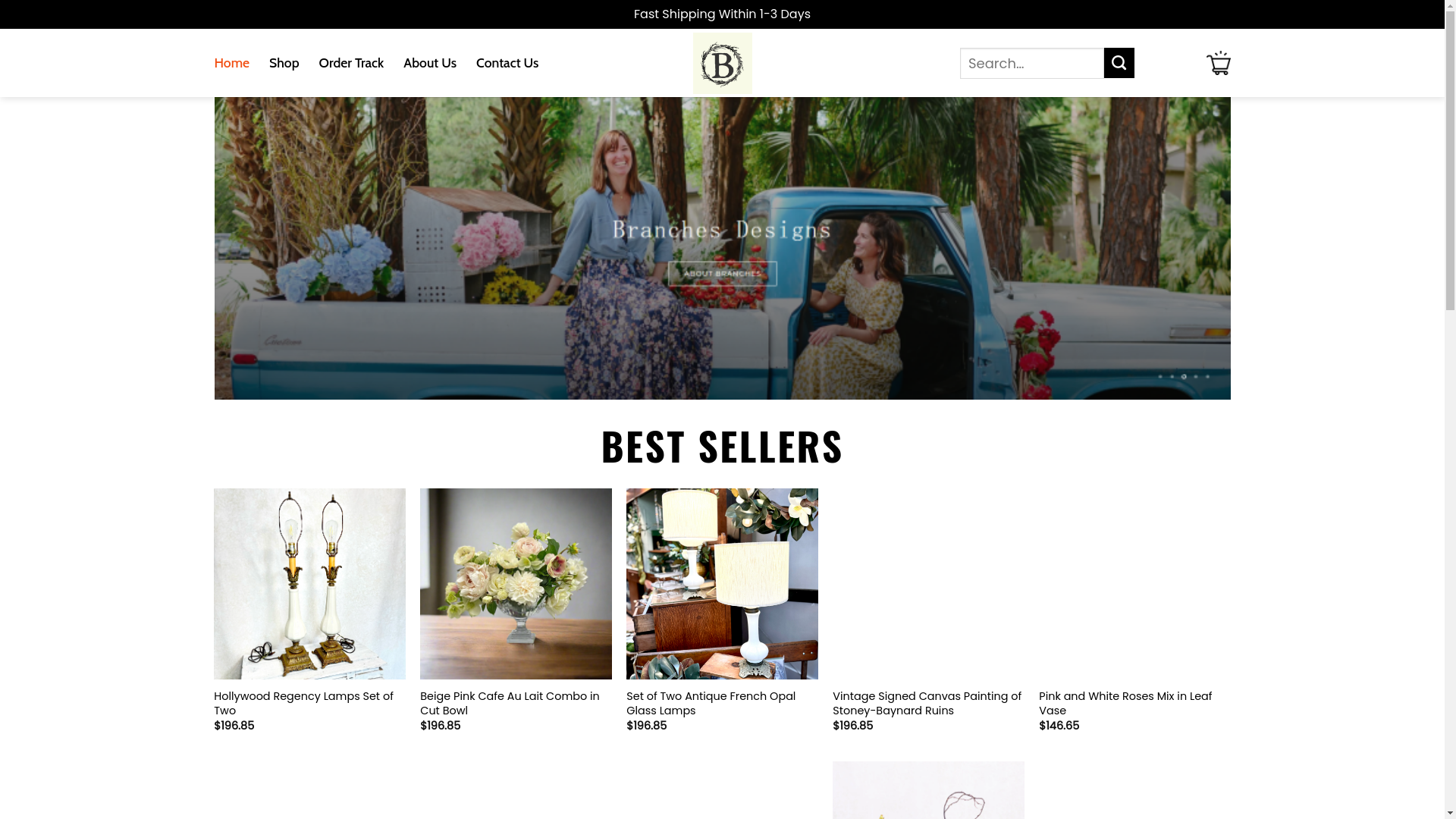 website screenshot of https://holabranchesdesigns.shop/