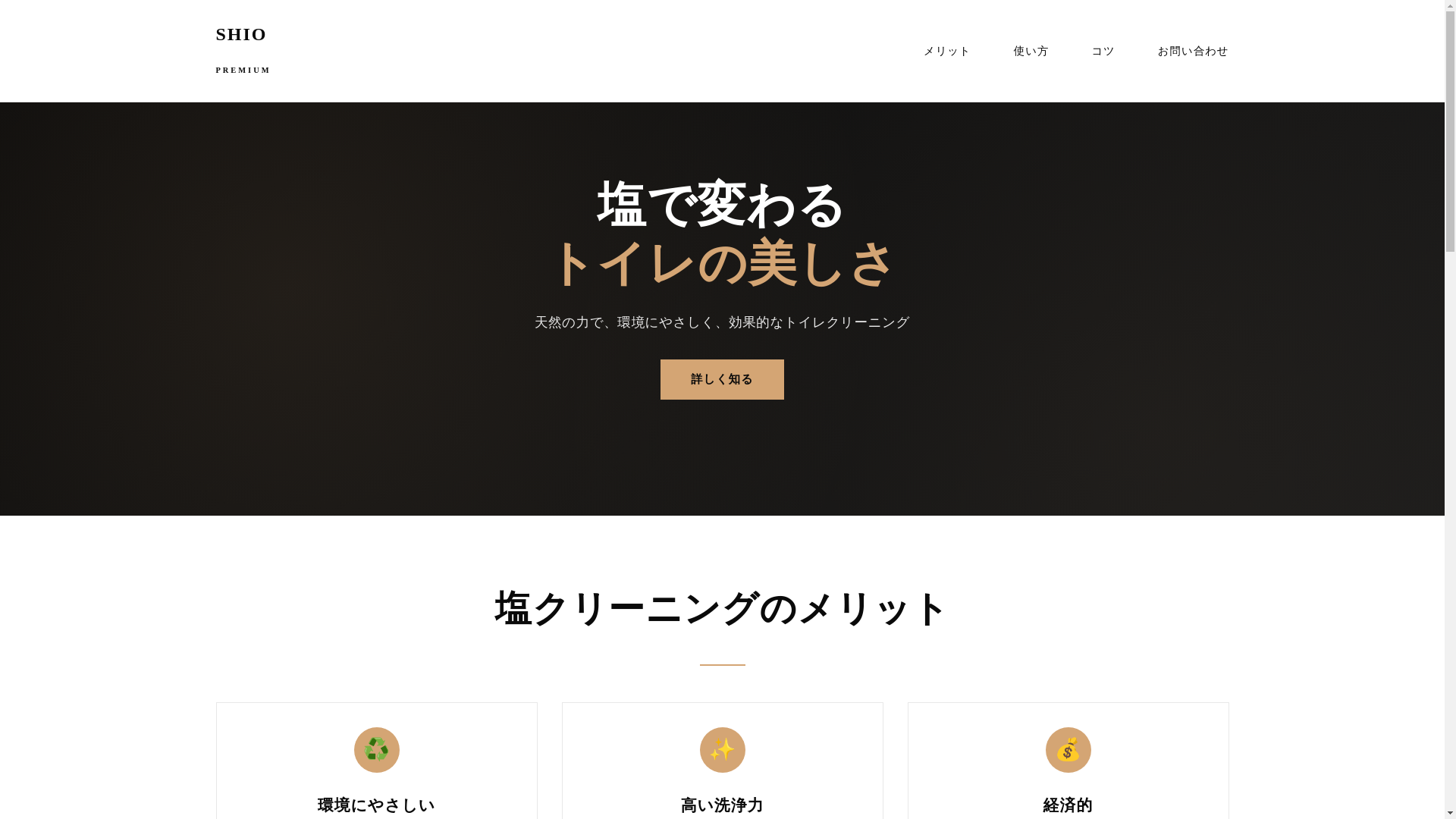 website screenshot of https://jp-saltser.cfd/