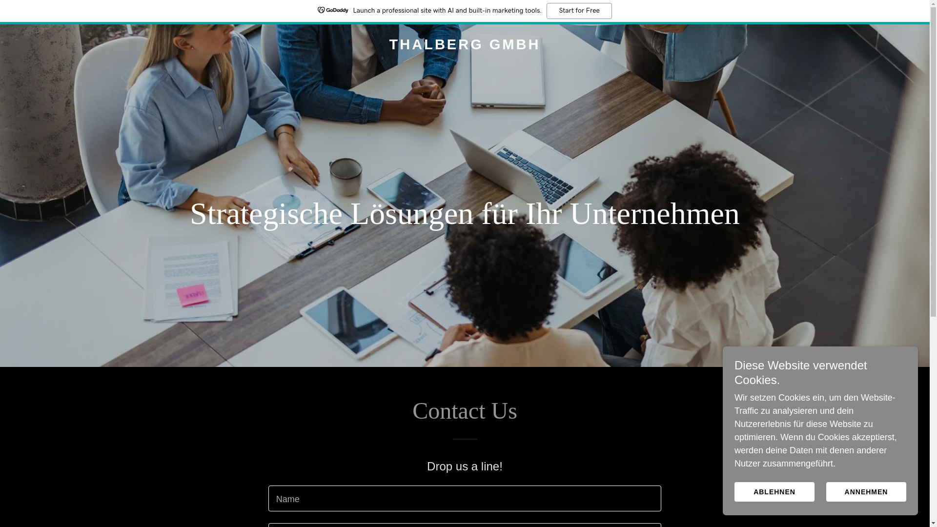 website screenshot of https://thalbergholding.com/