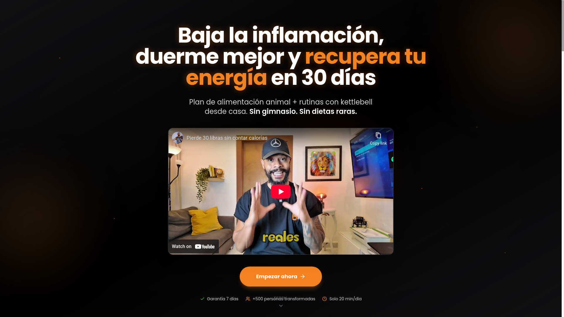 website screenshot of https://binielcastillo.es/