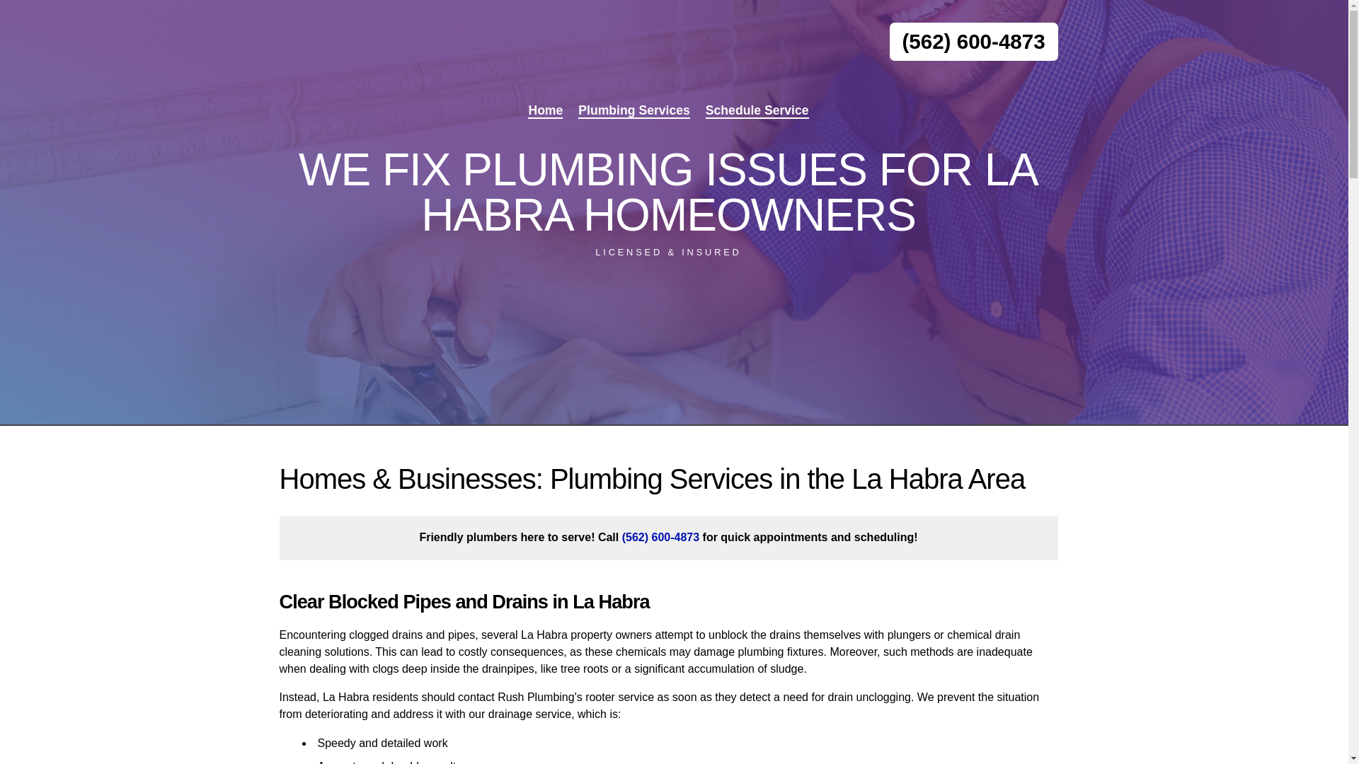 website screenshot of https://rushplumbing.online/