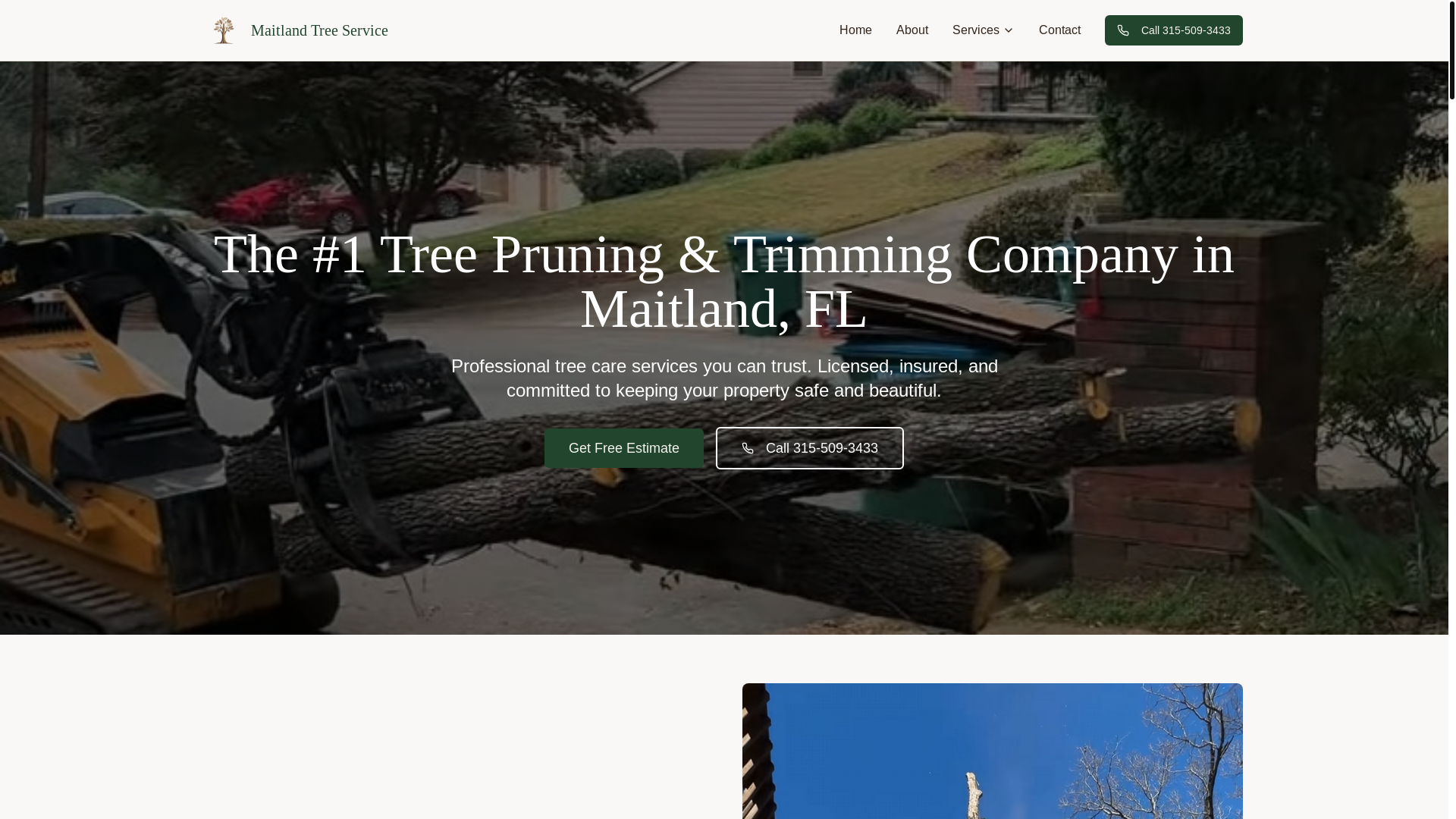 website screenshot of https://maitlandtreeservice.com/