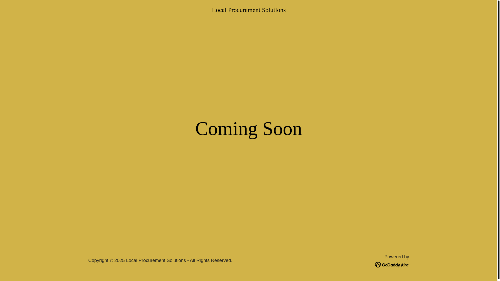 website screenshot of https://localprocurementsolutions.com/