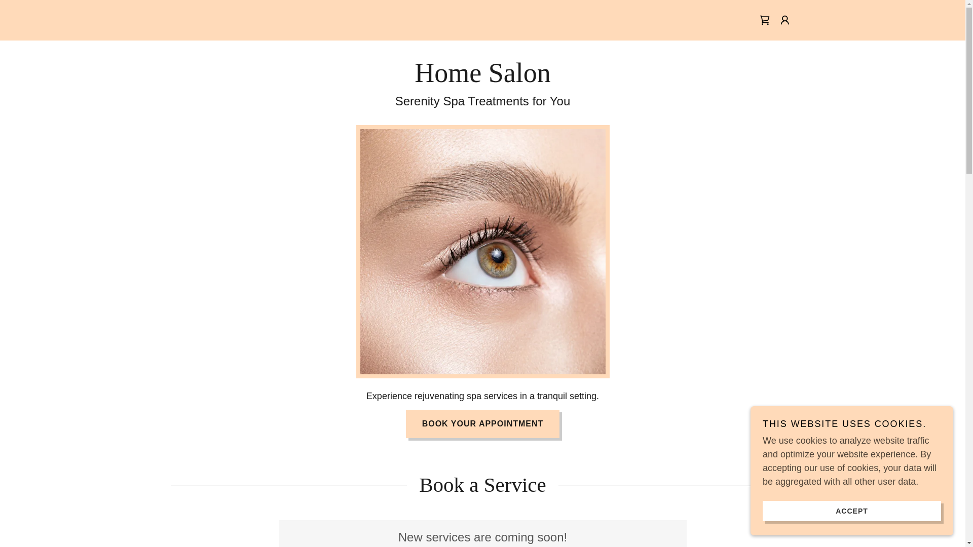 website screenshot of https://beautybyteri.net/