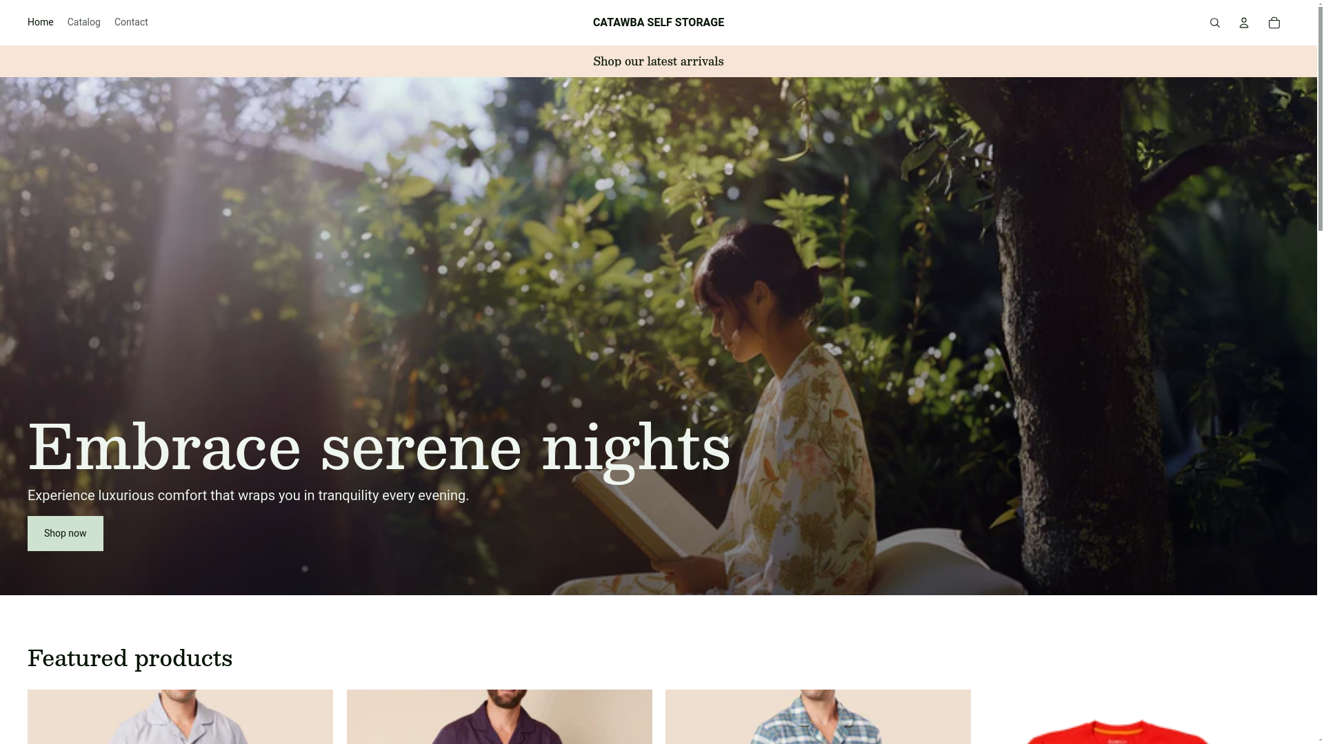 website screenshot of https://catawbaselfstorage.shop/