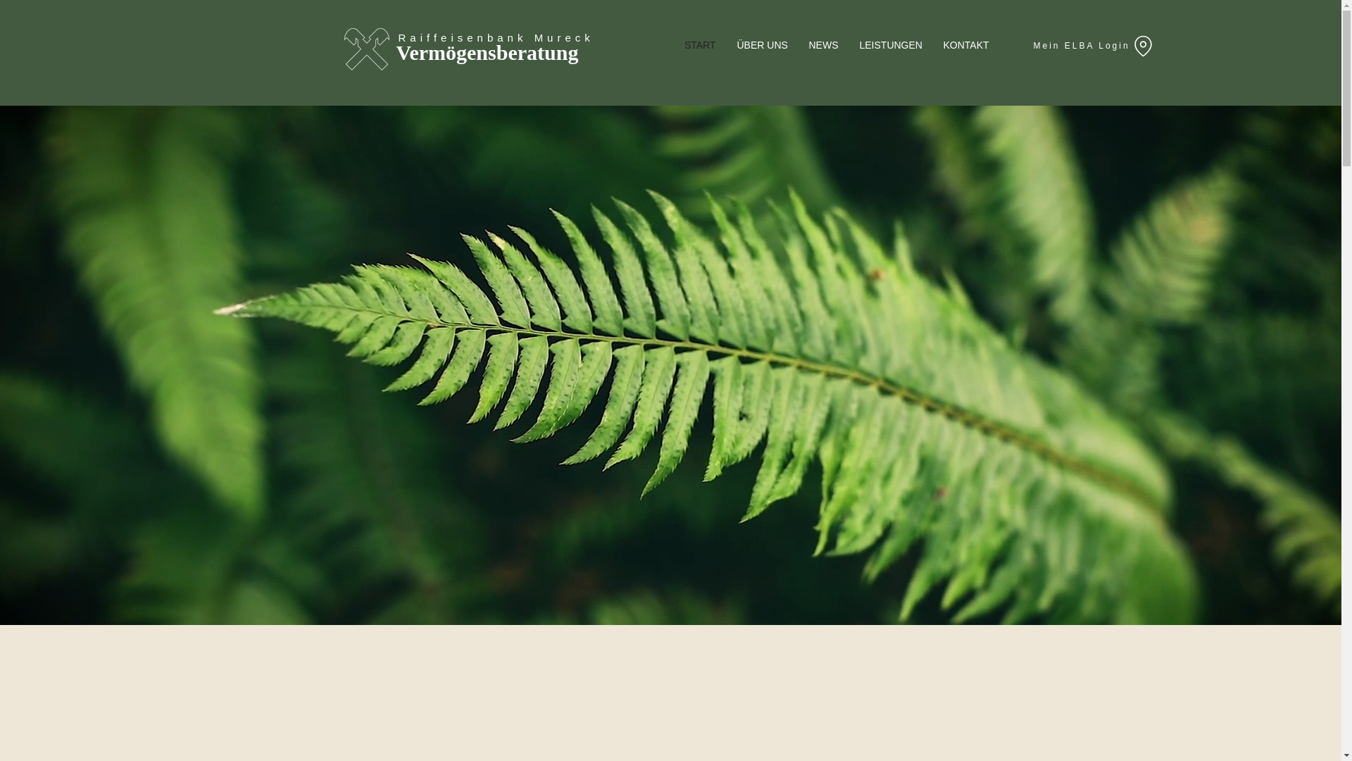 website screenshot of https://mitweitblick-rbmureck.at/