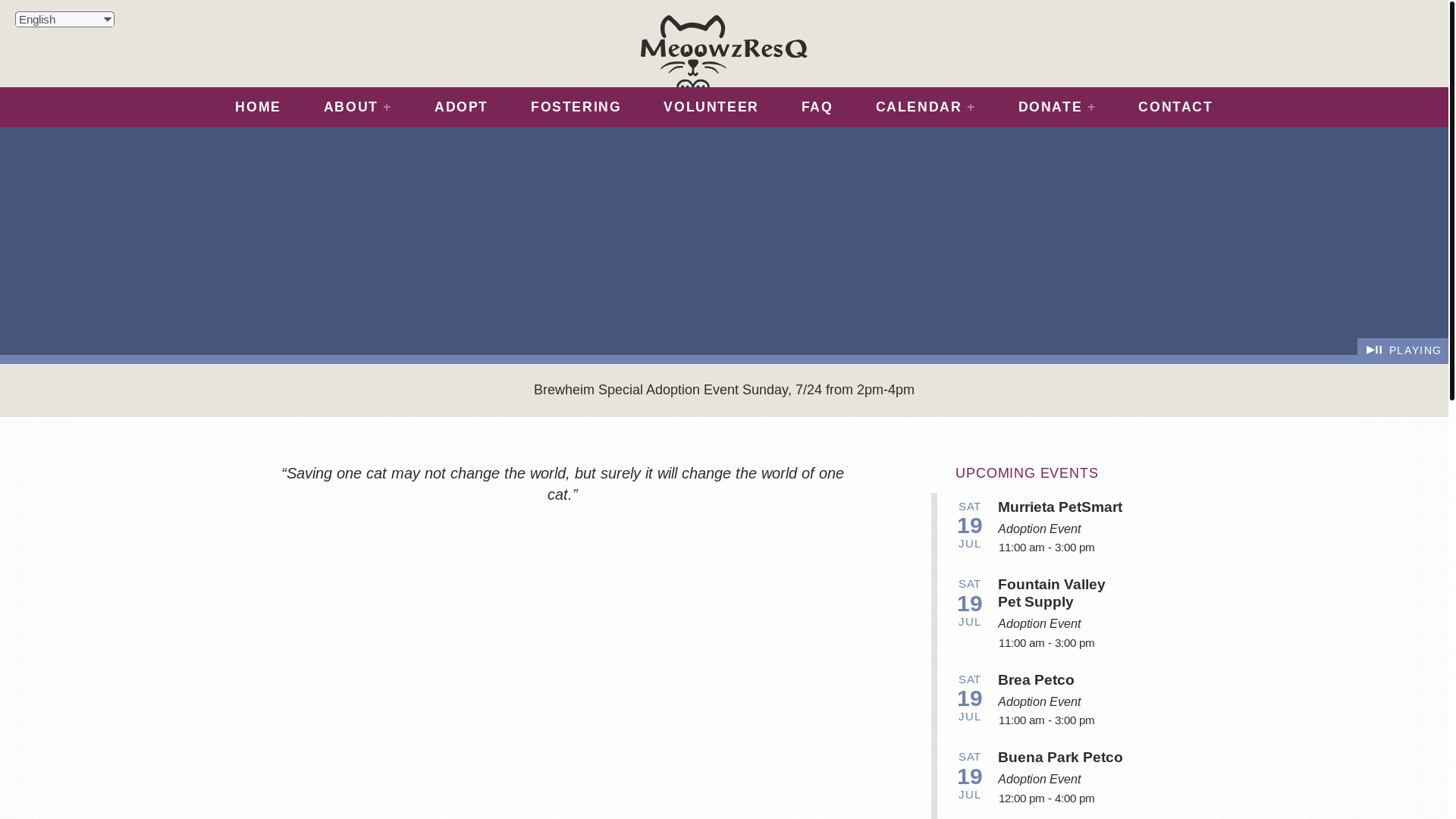 website screenshot of https://meoowzresq.org/