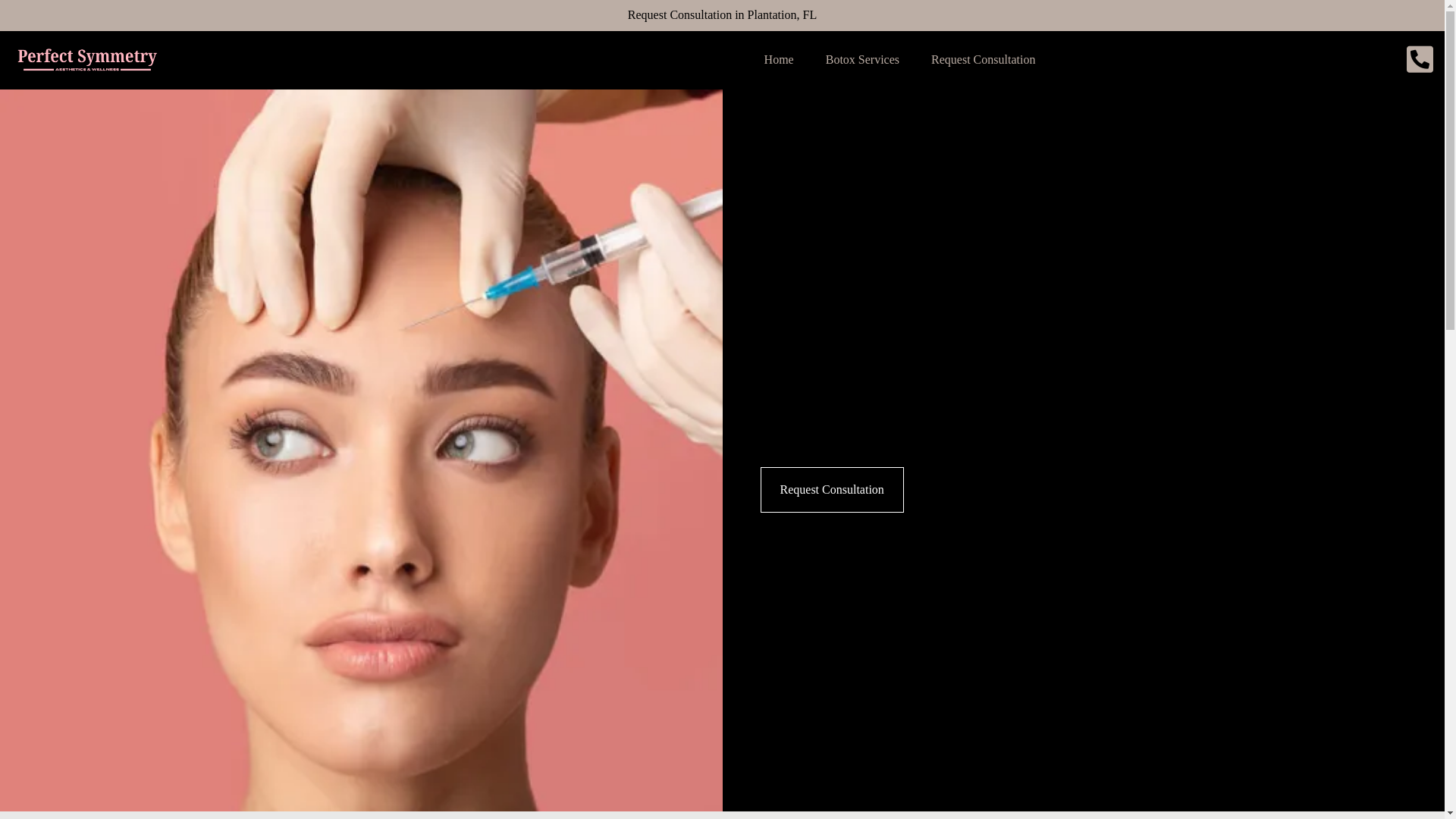 website screenshot of https://perfectsymmetryllc.com/