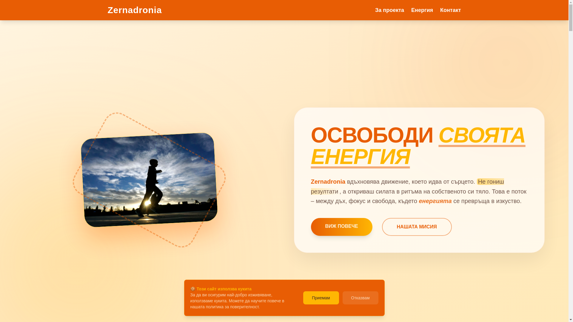 website screenshot of https://zernadronia.eu/