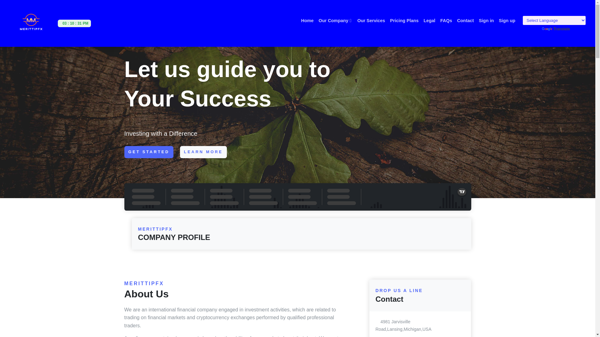 website screenshot of https://merittipfxonline.com/